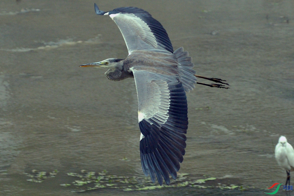 DSC_7291a.jpg
