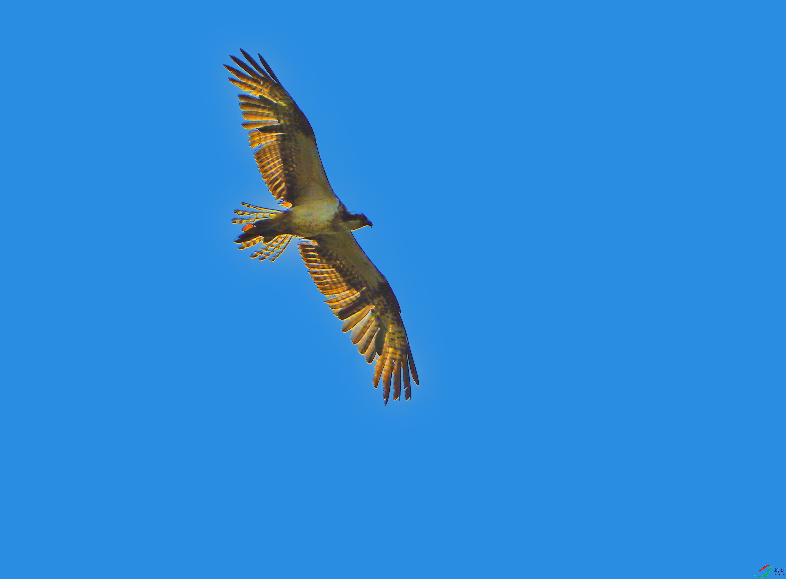 DSC07219-8.jpg