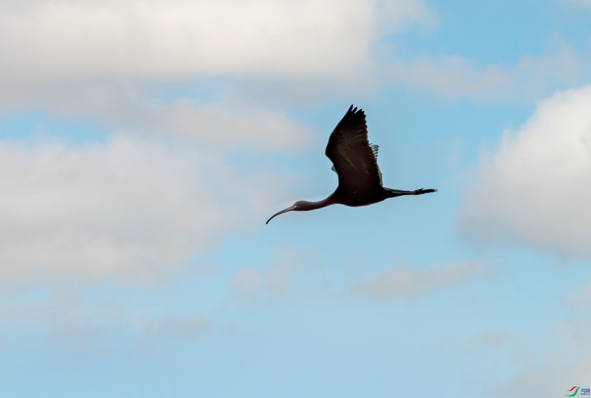 DSC_1093-11.jpg