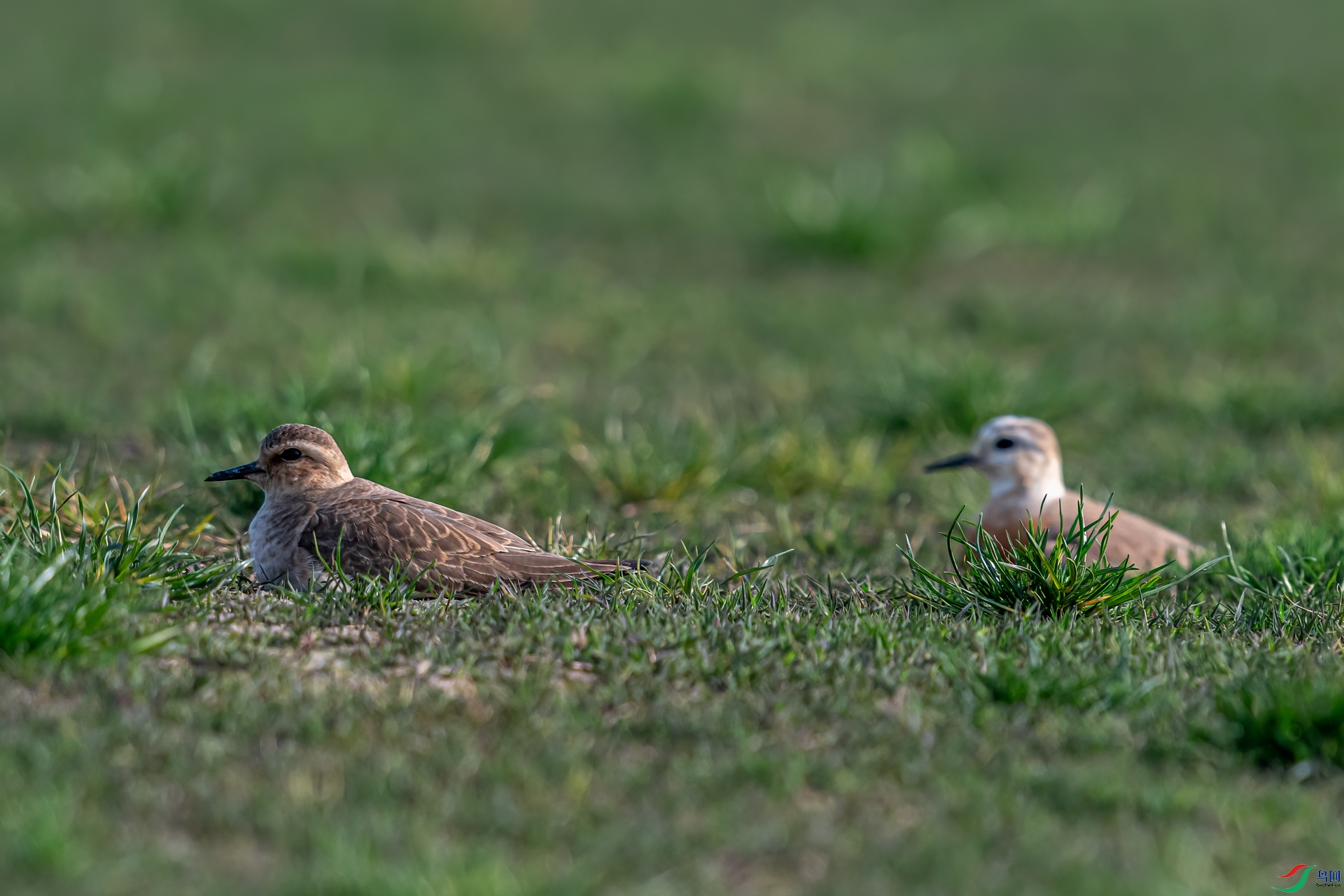 _DSC9786-11.jpg