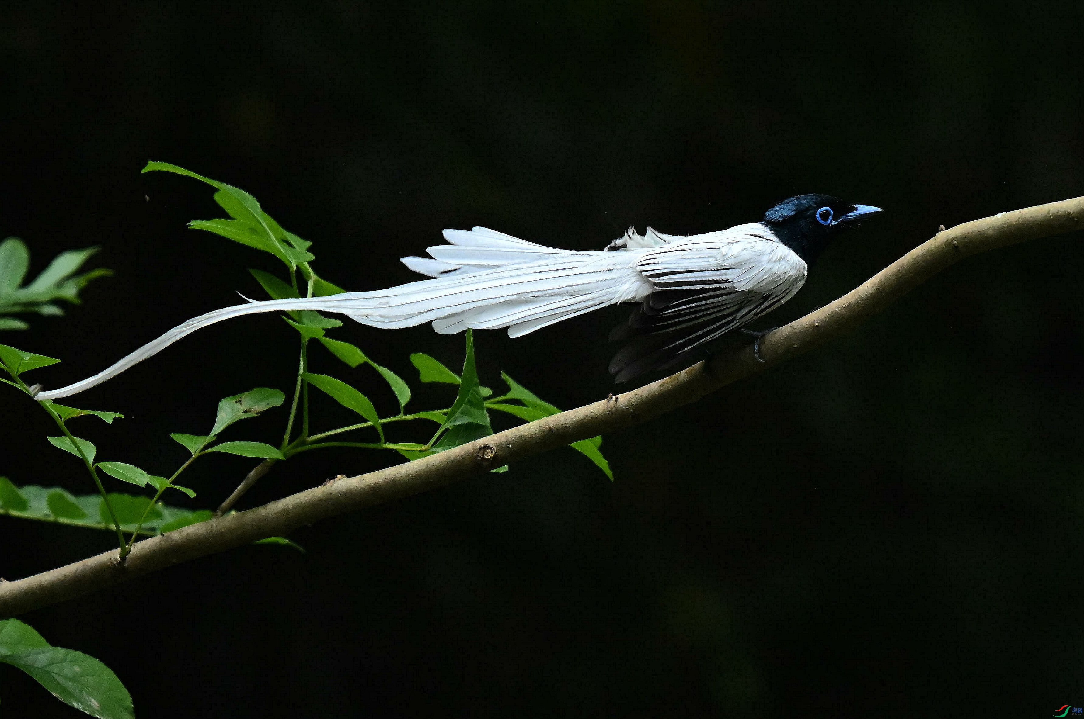DSC_4625.jpg