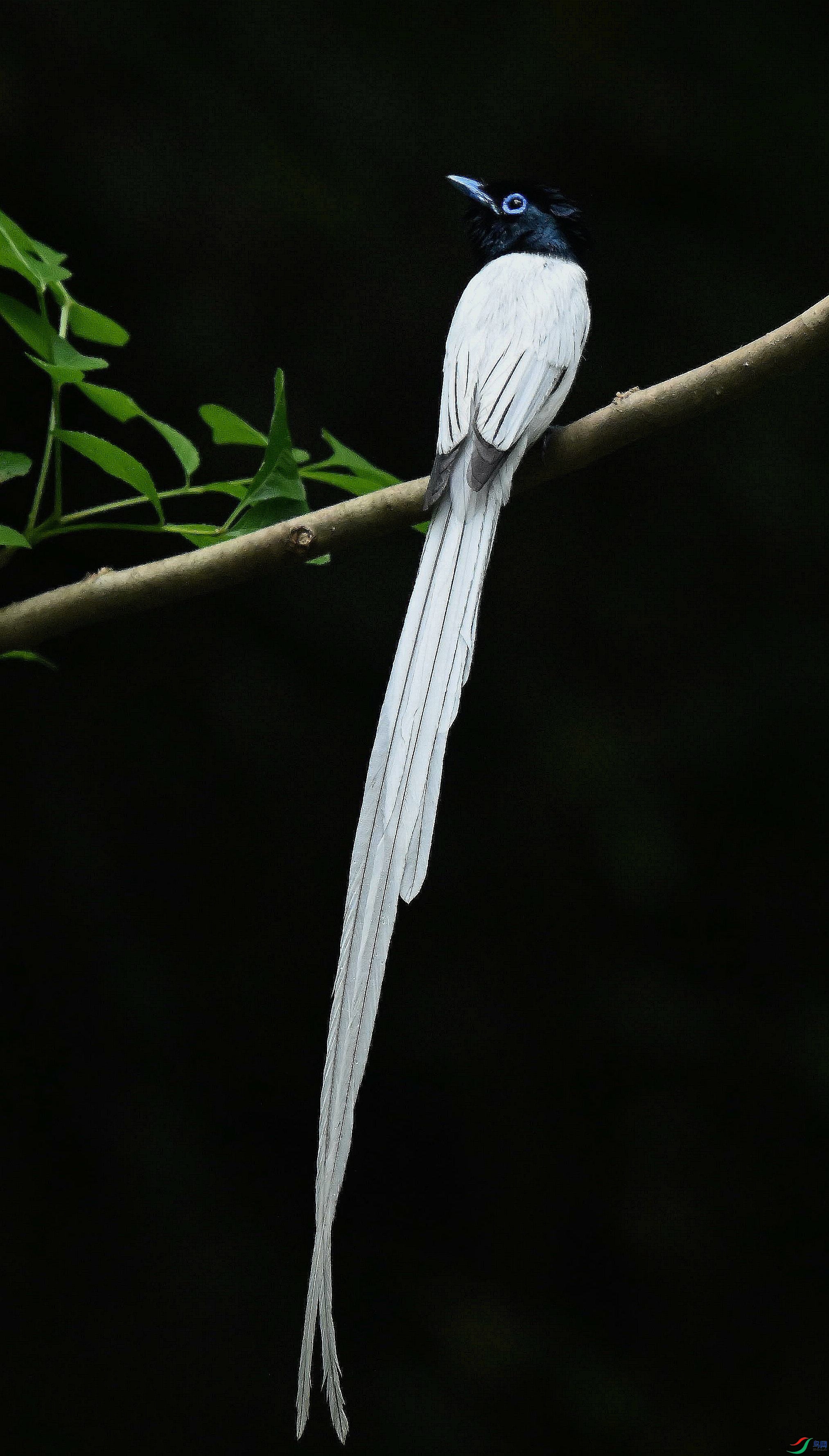 DSC_4465.jpg