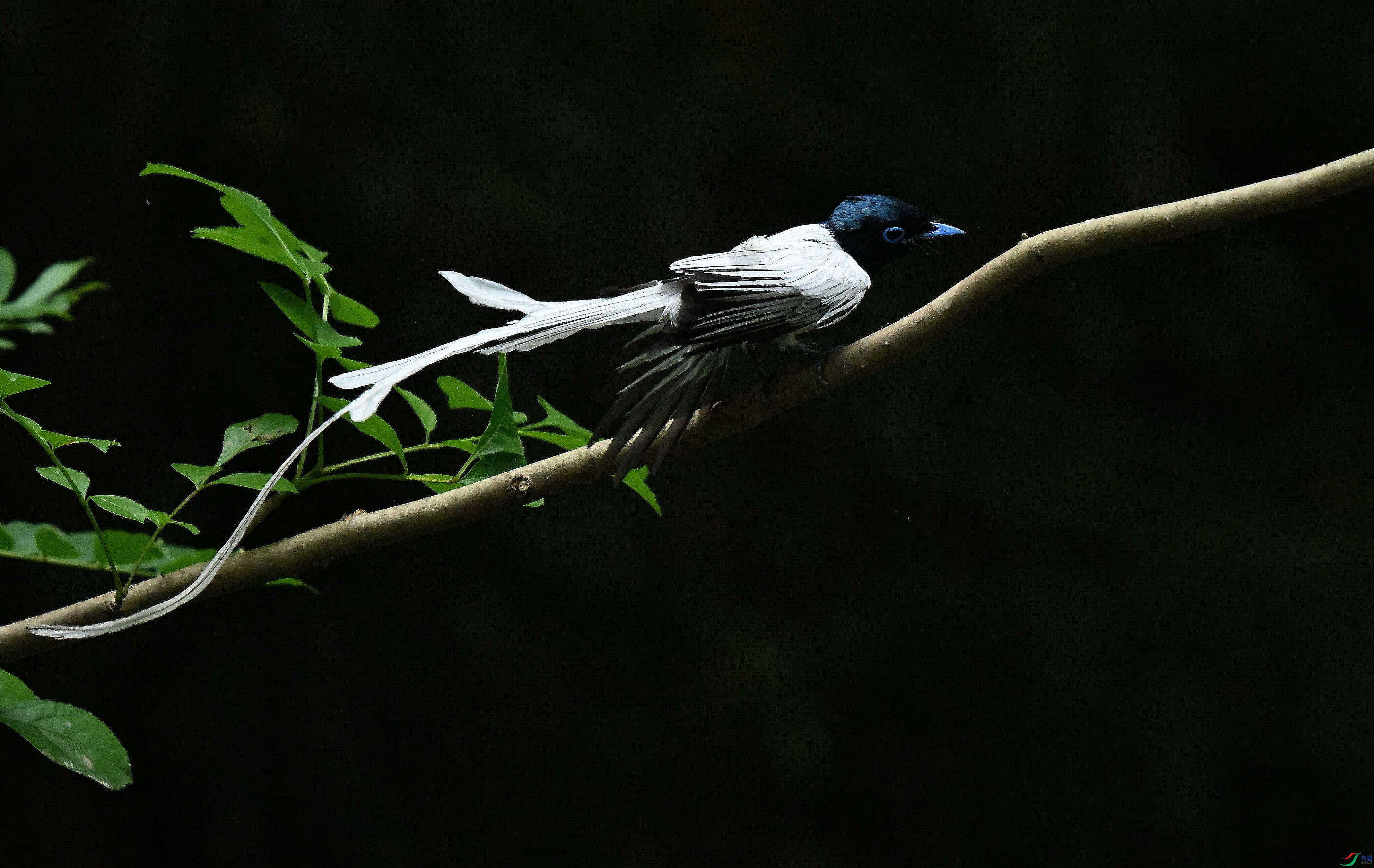 DSC_4623.jpg