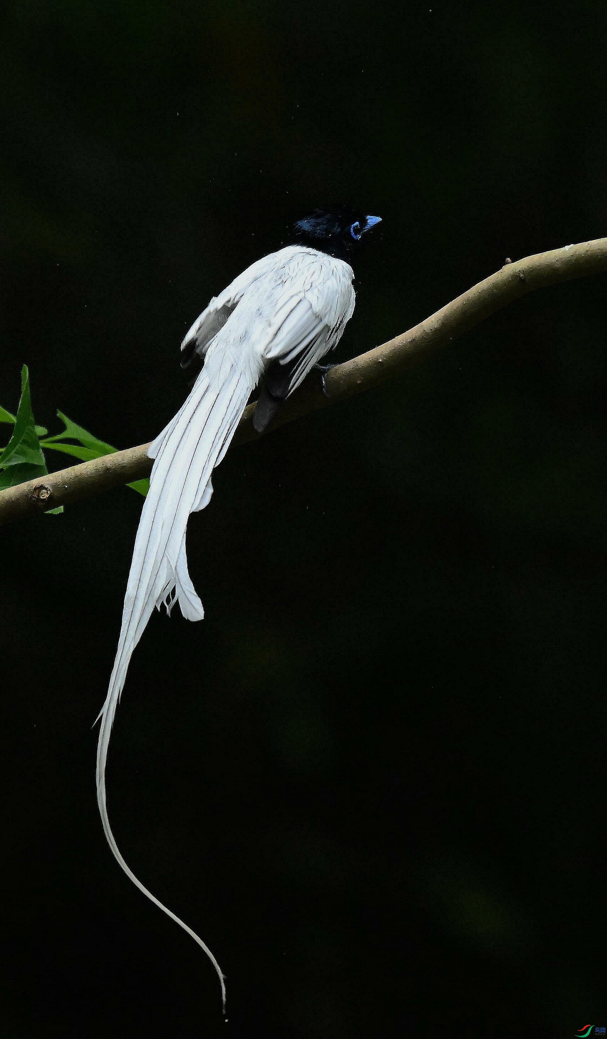 DSC_4605.jpg