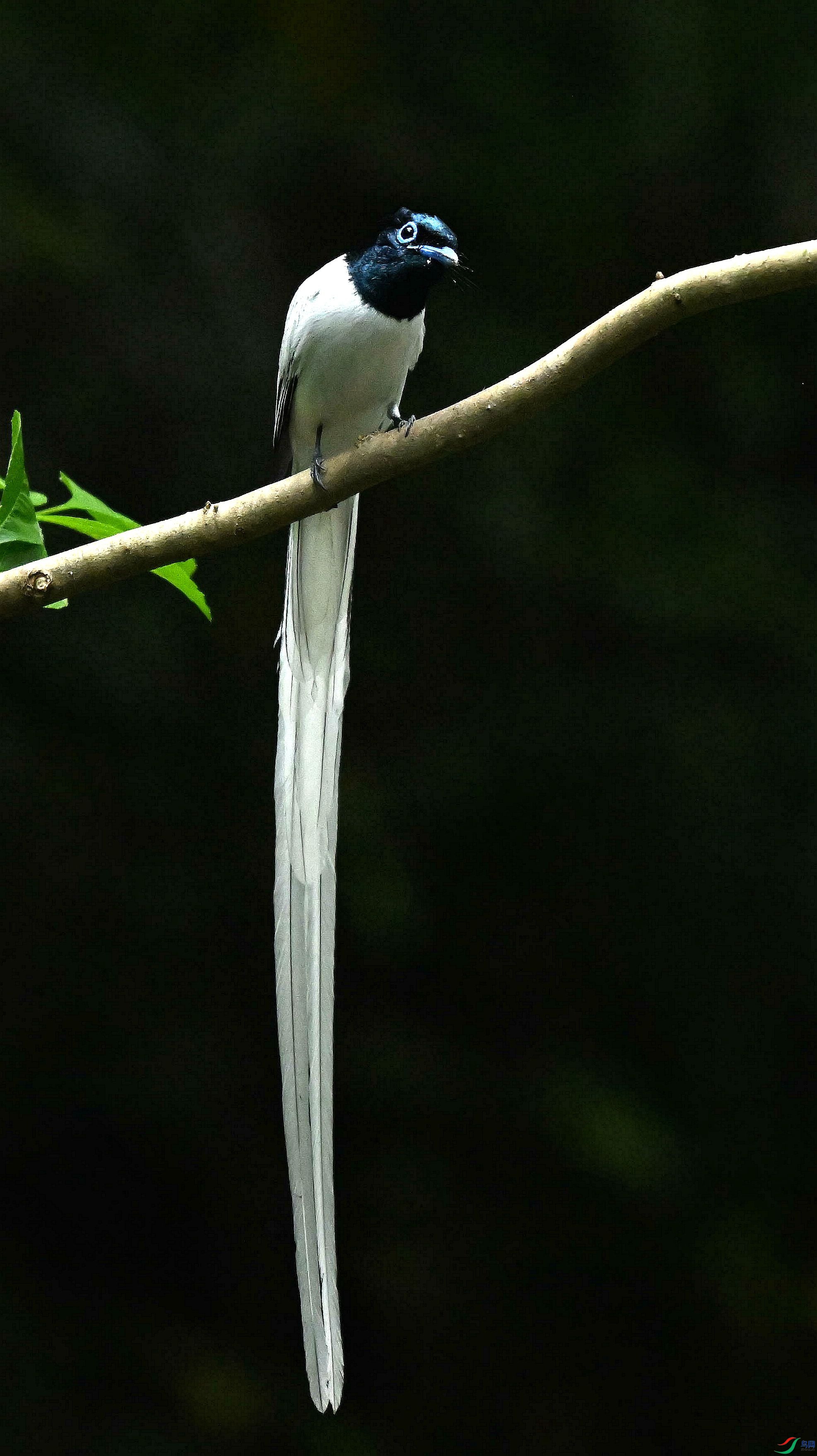 DSC_4393.jpg