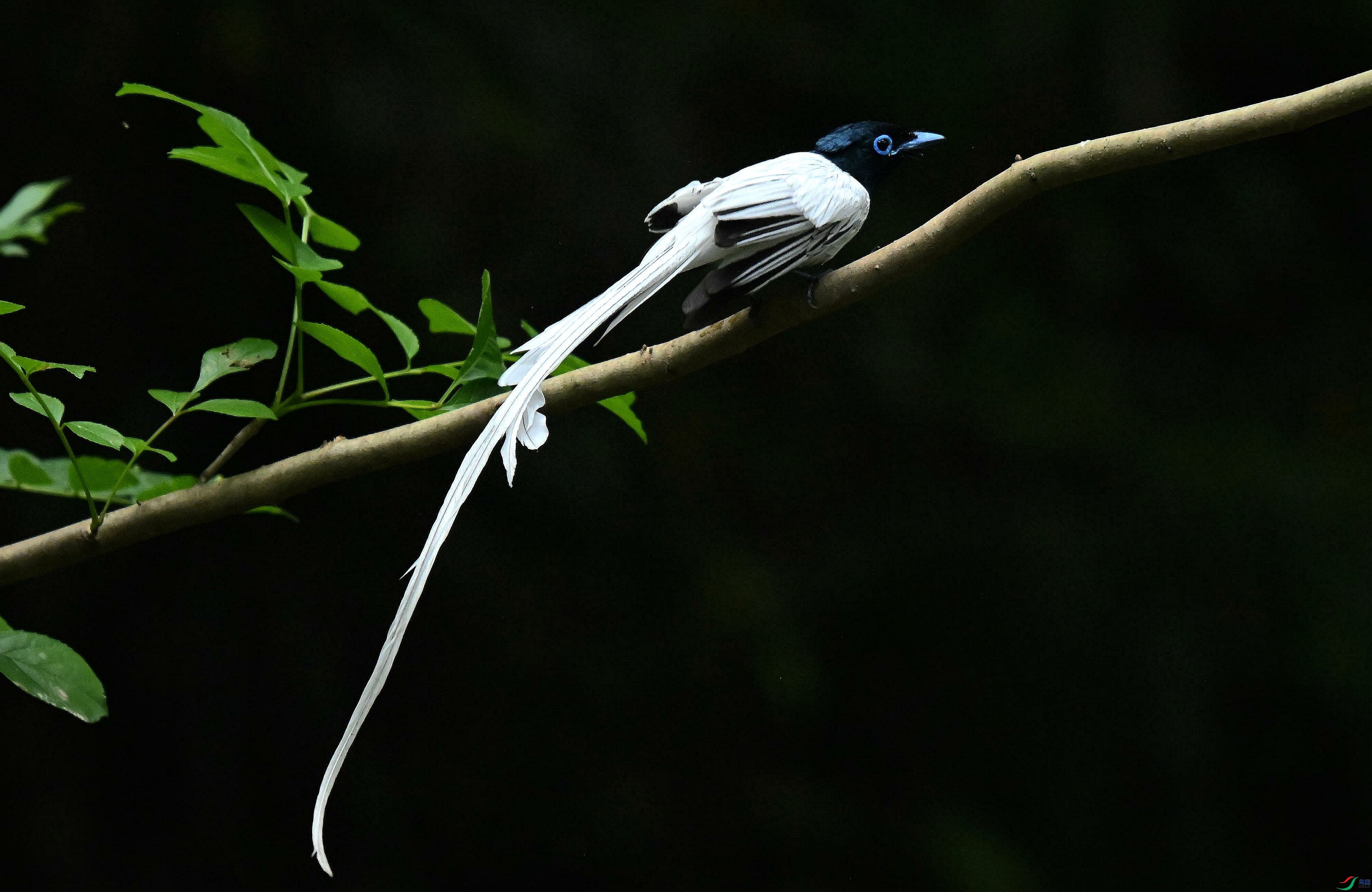 DSC_4631.jpg