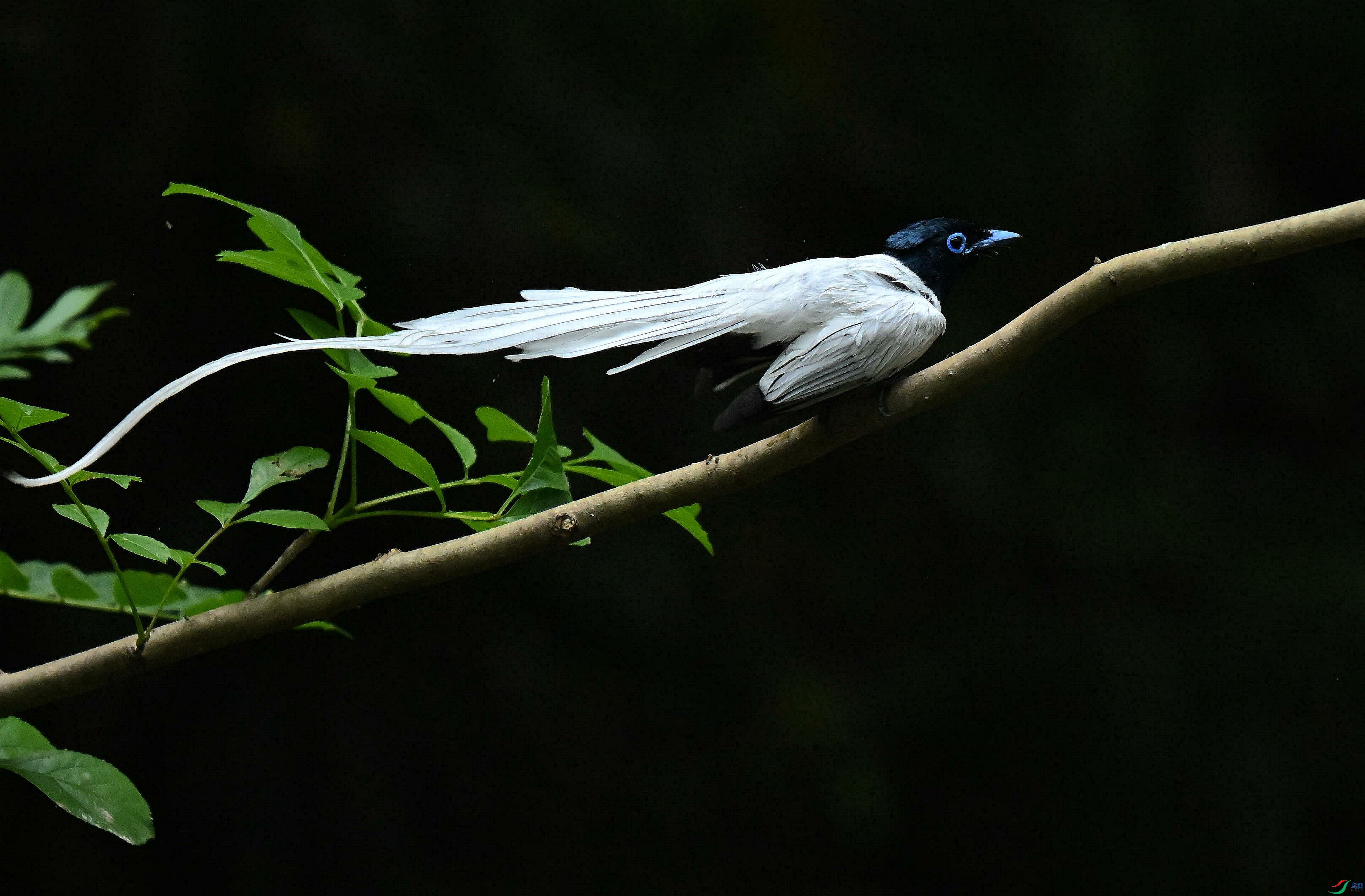 DSC_4626.jpg
