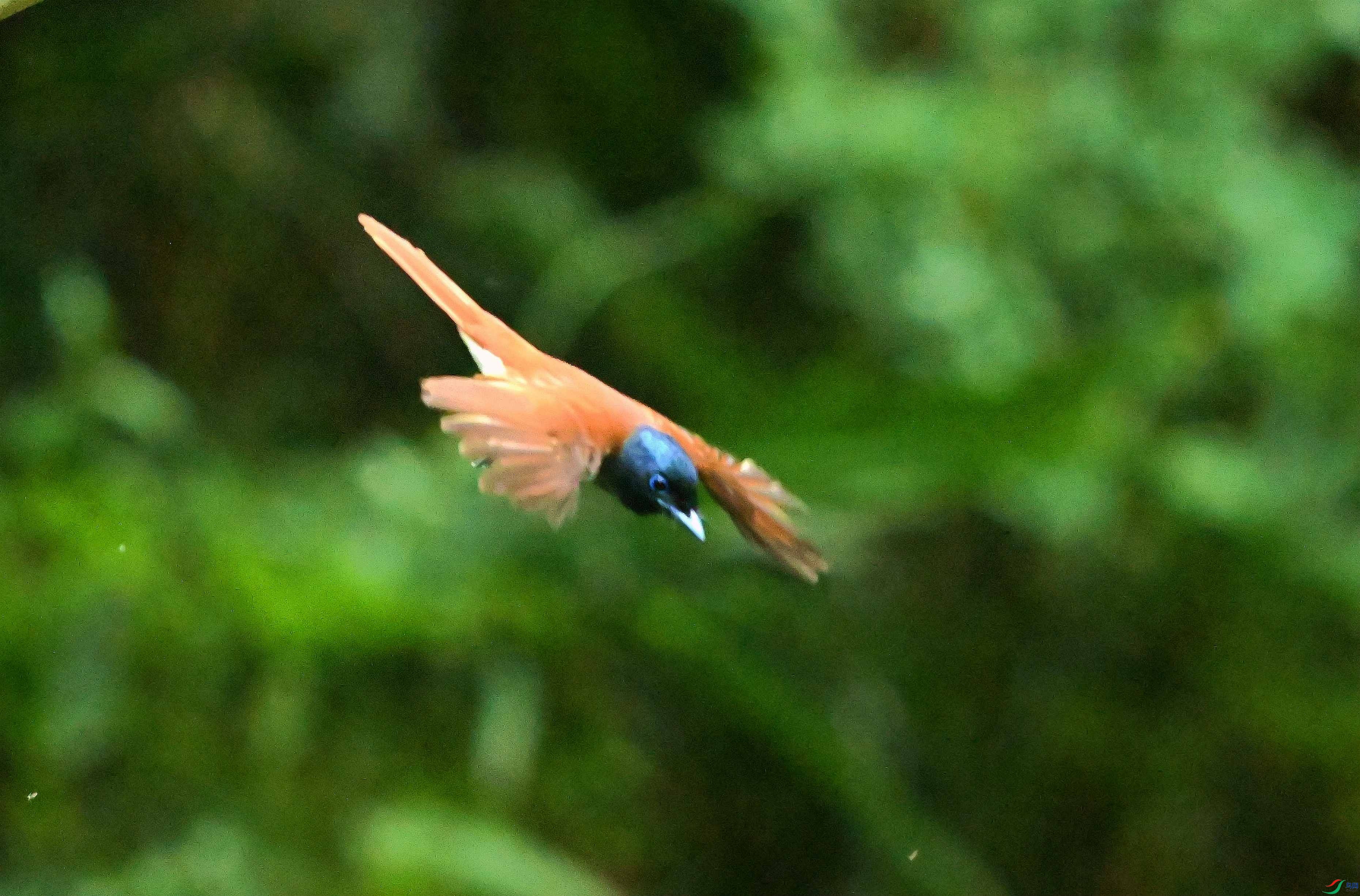DSC_2755.jpg
