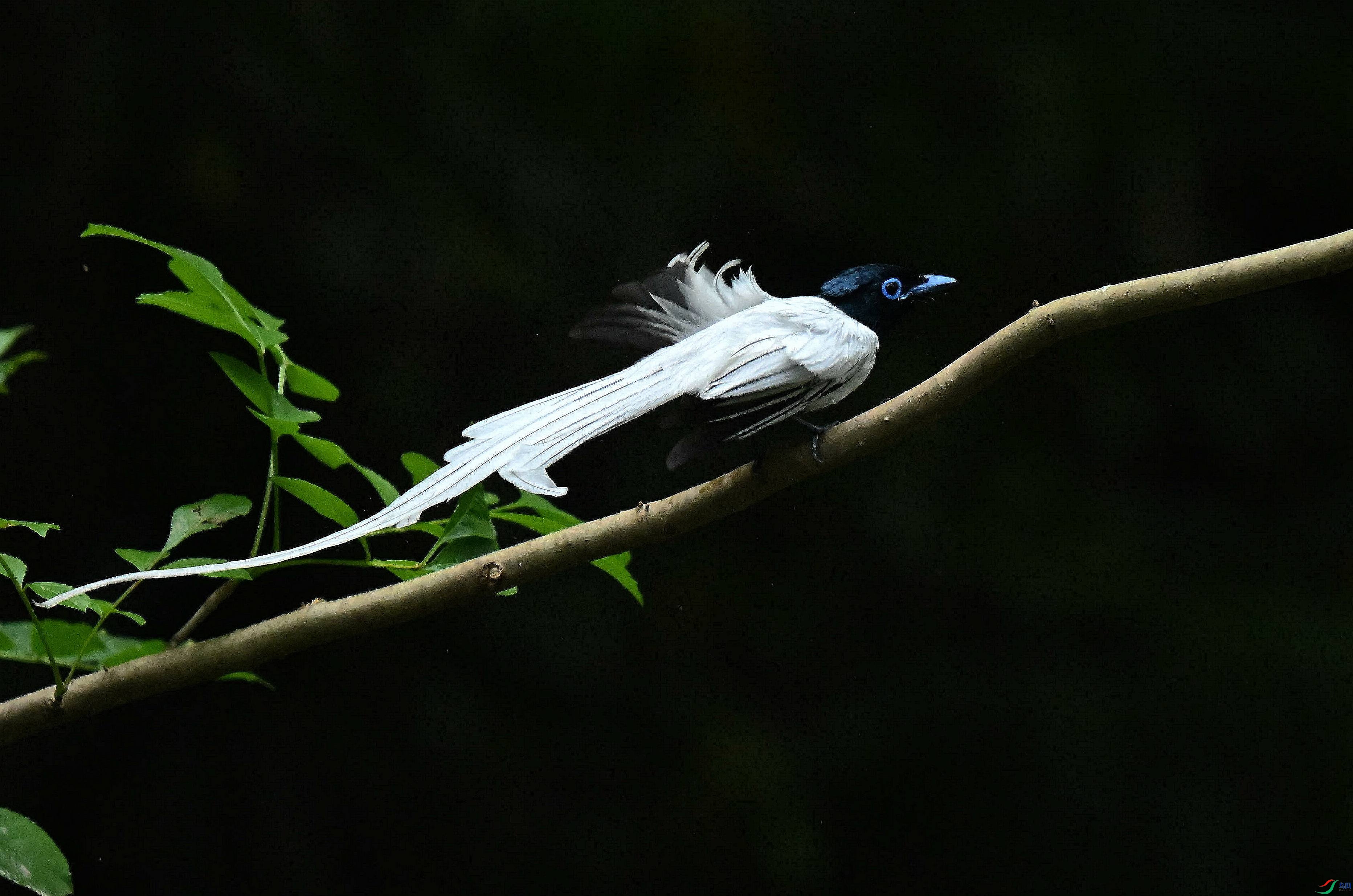 DSC_4628.jpg