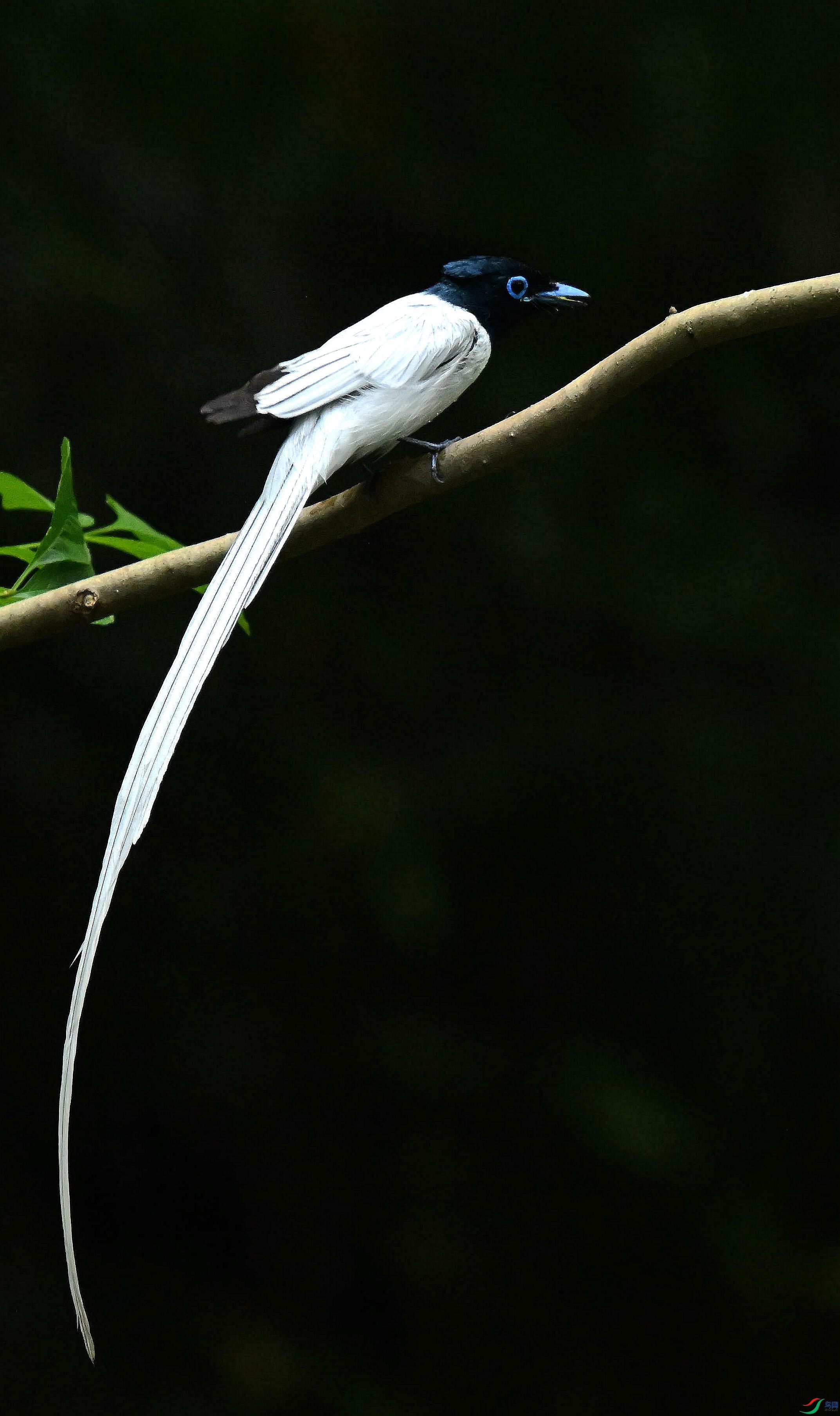 DSC_4635.jpg
