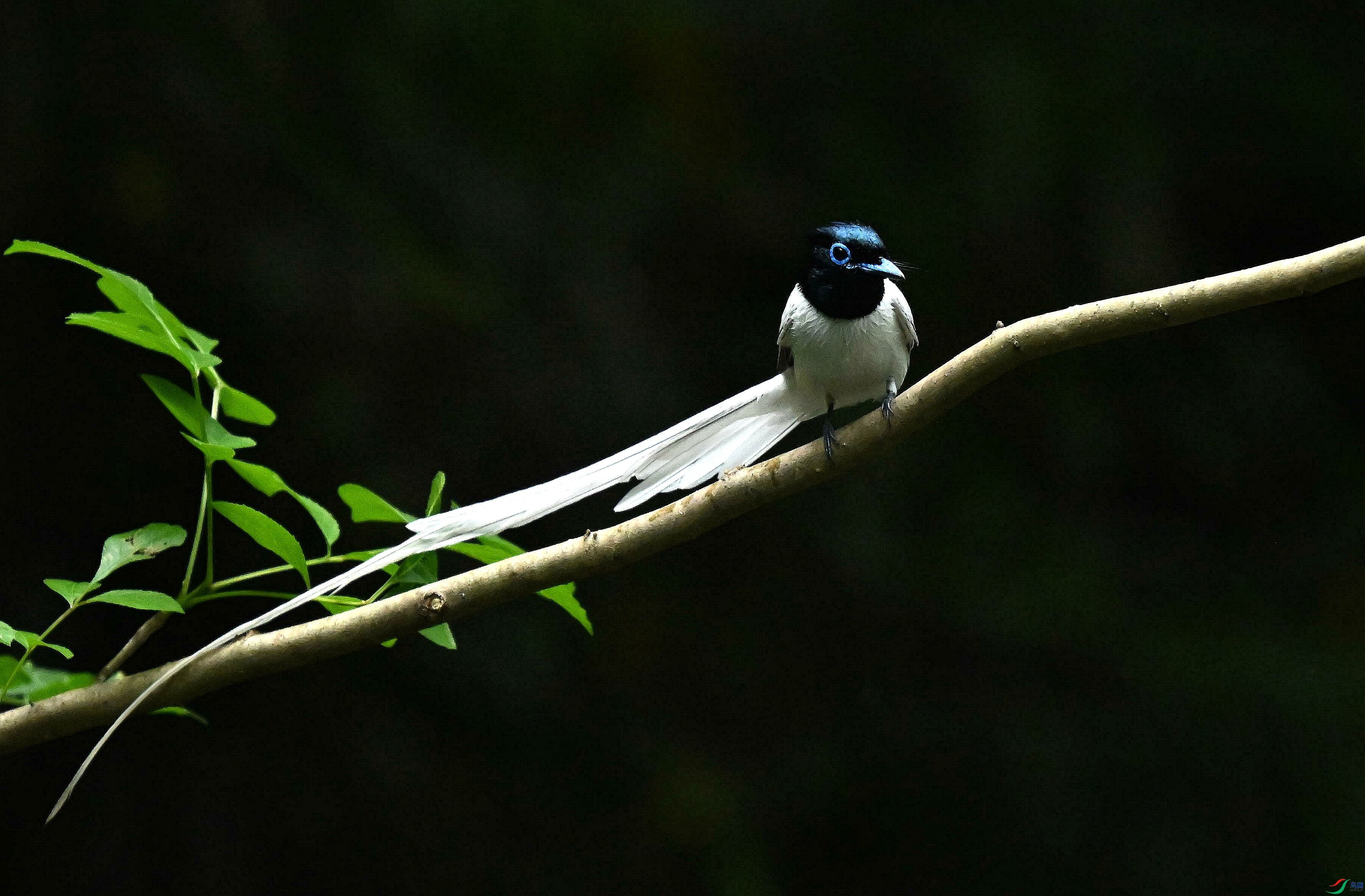 DSC_4672.jpg