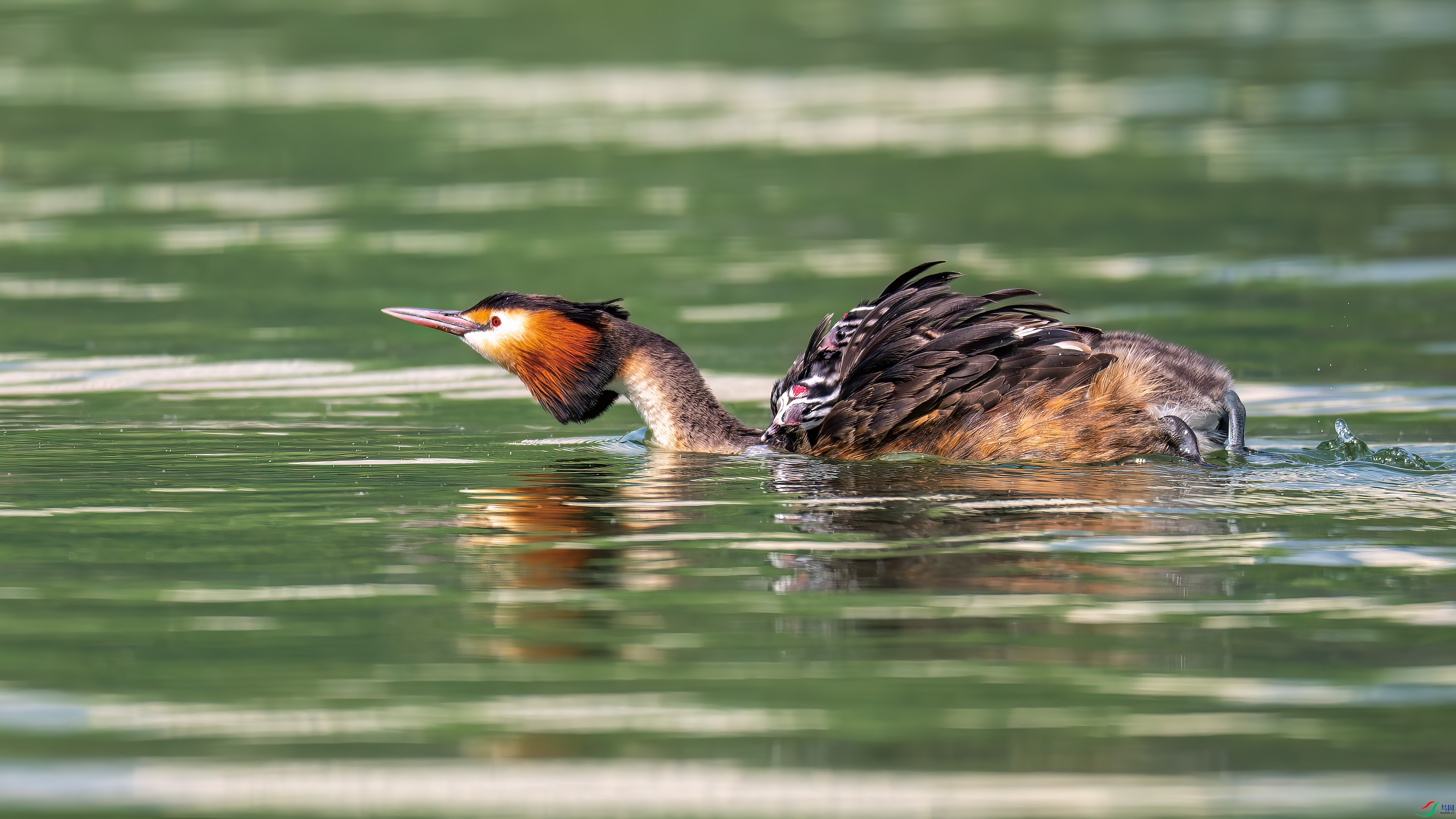 DSC_9155.jpg