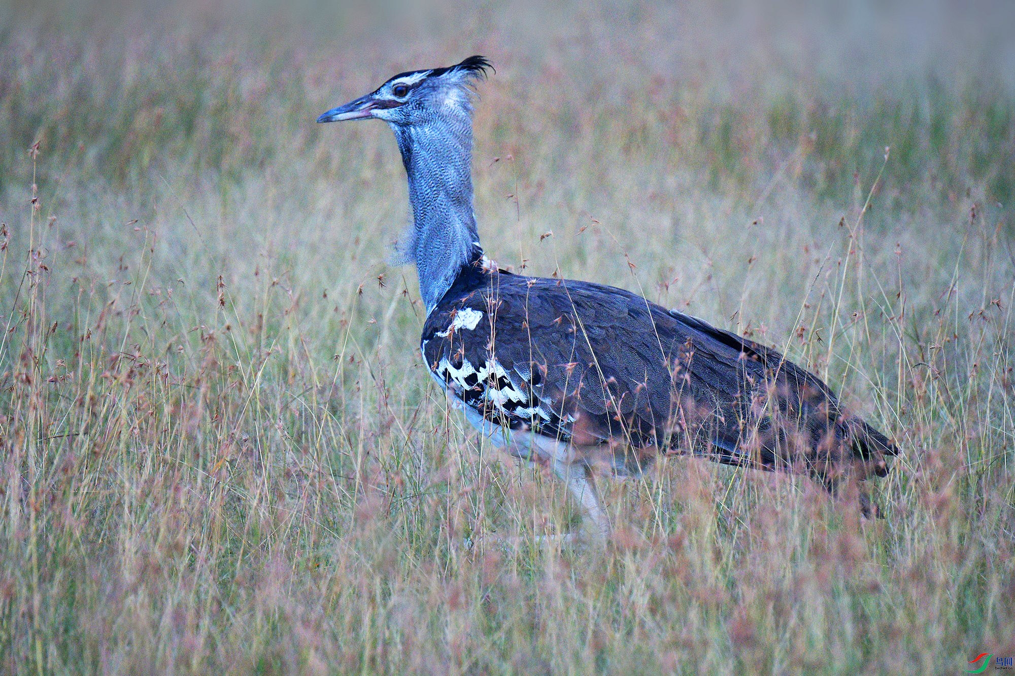DSC_5048_.jpg