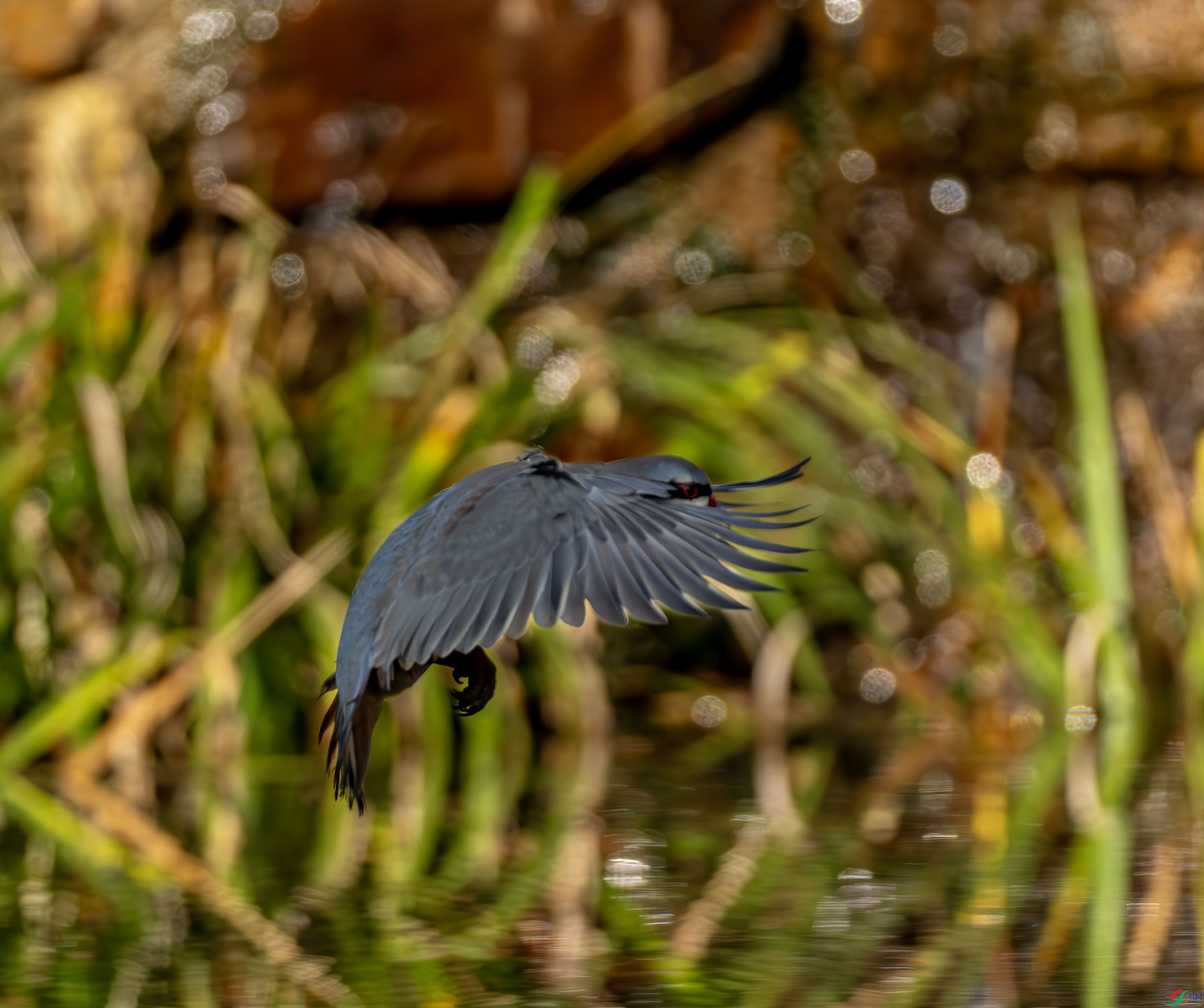ʯ��-01-8.jpg