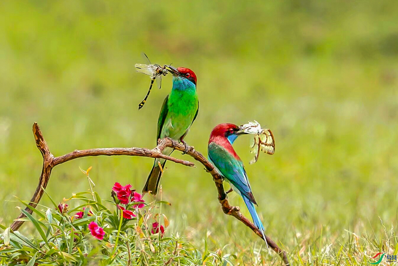 default (15)�����仢 ����.jpg