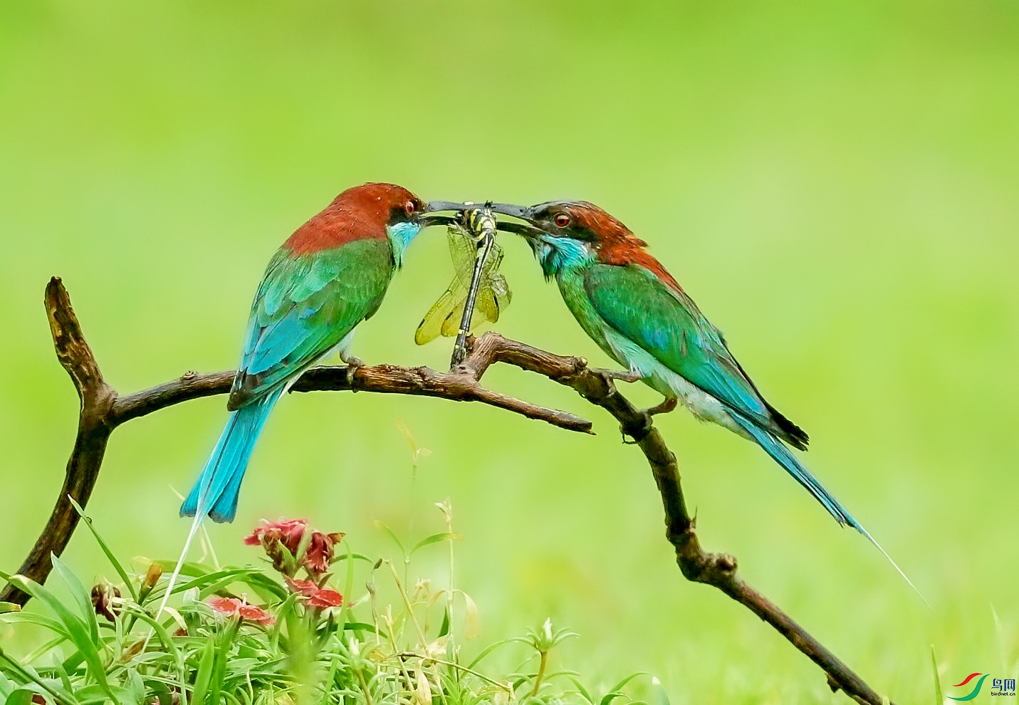 default (15)Ϸˣ ����.jpg