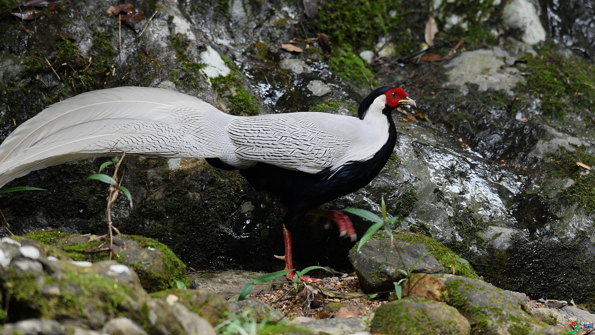 DSC_3594.jpg