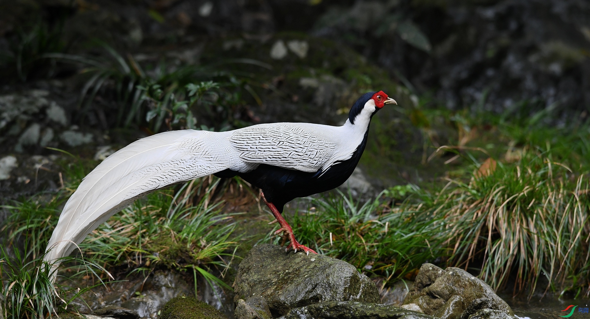 DSC_3603.jpg