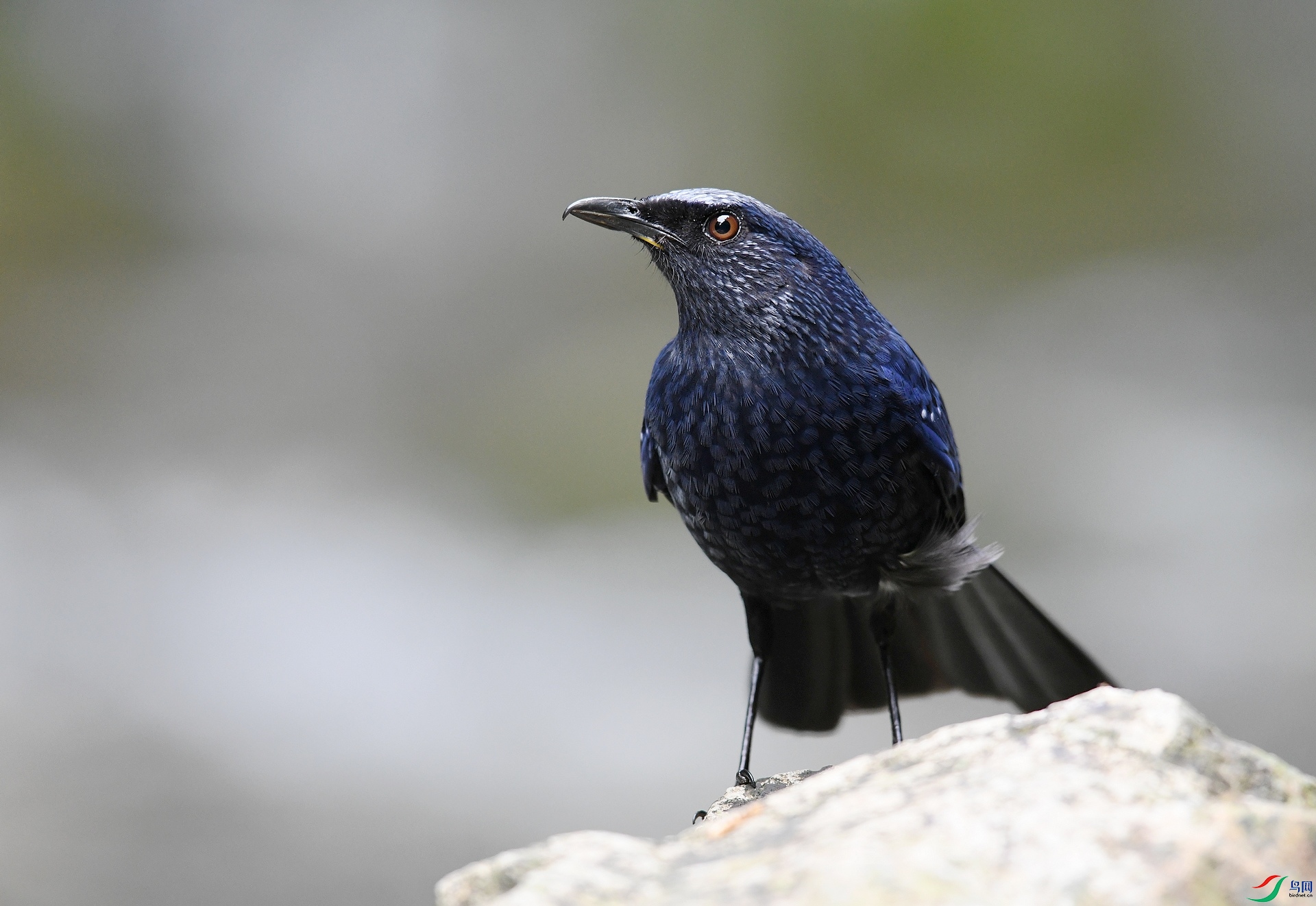DSC_4218.jpg