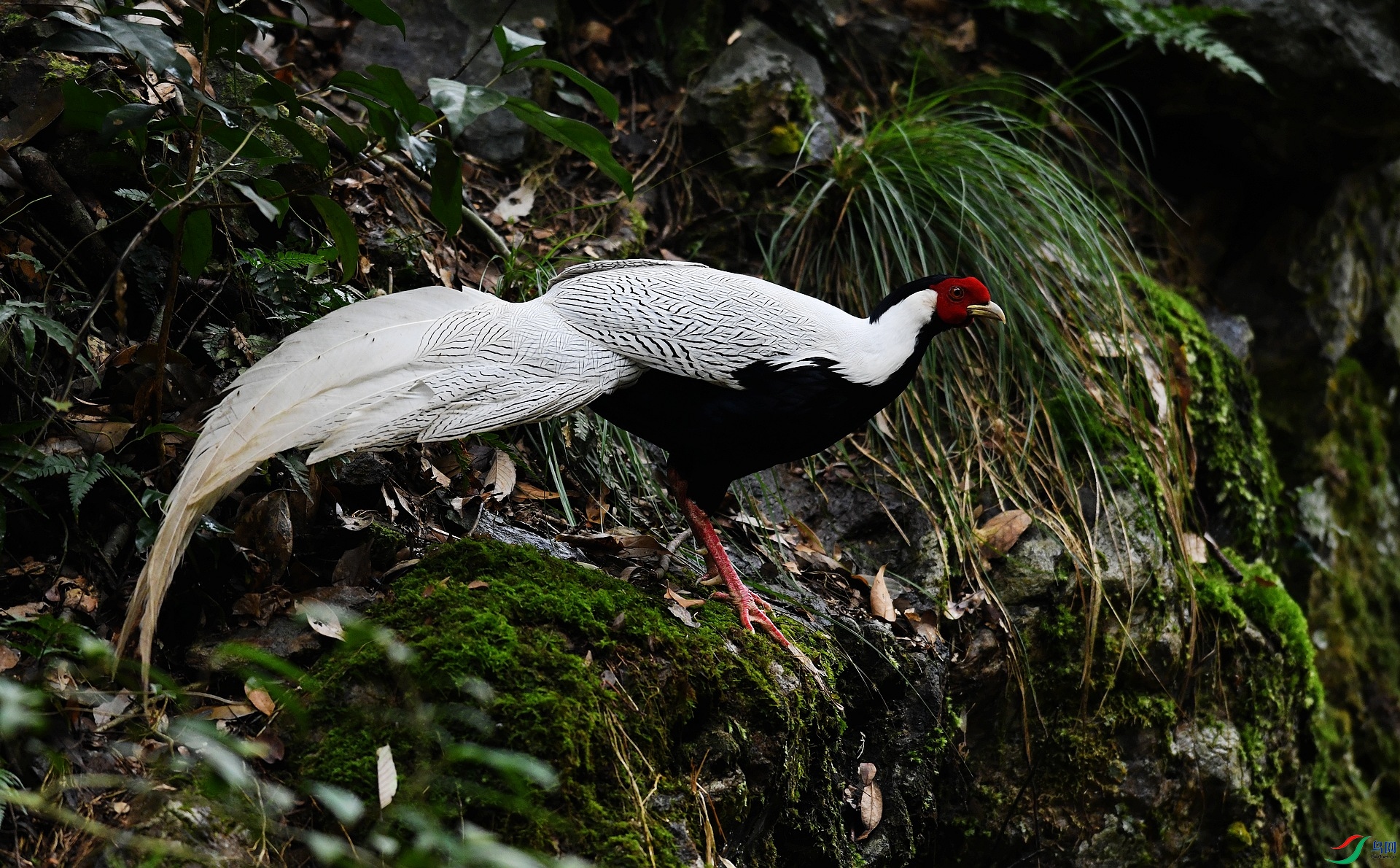 DSC_8376.jpg