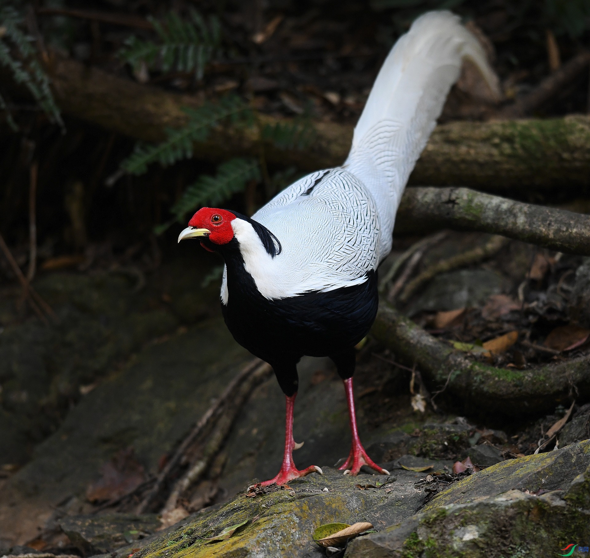DSC_8366.jpg