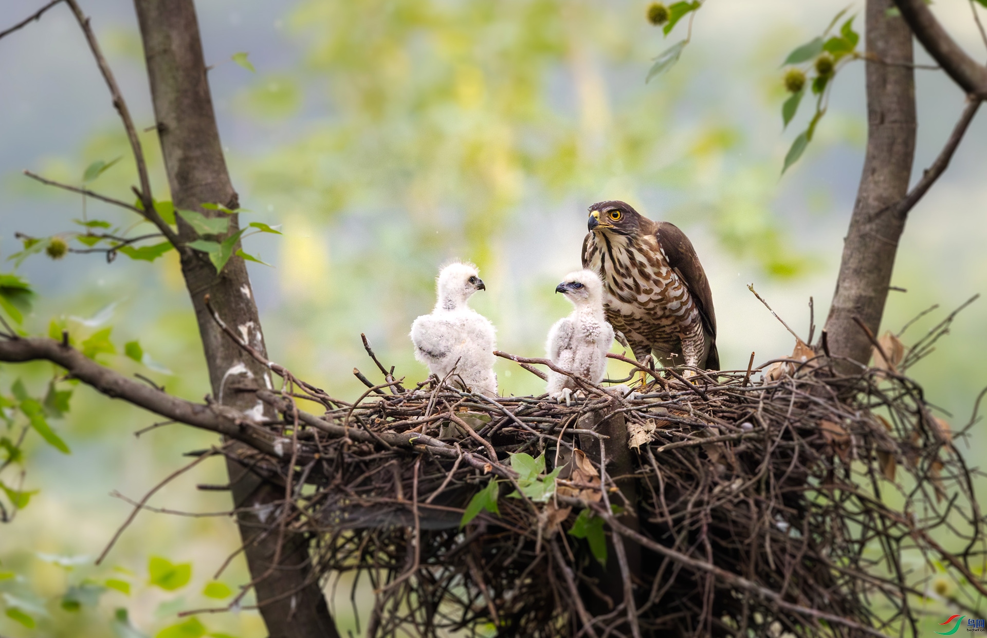 4116 ����.jpg