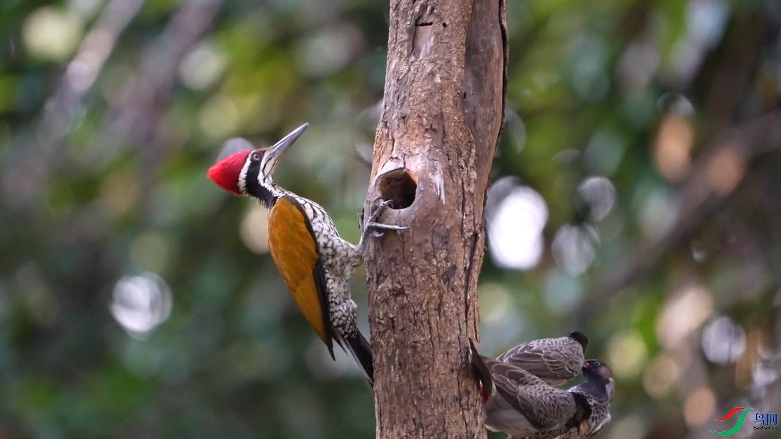 ΢��ͼƬ_2026-03-17_213955_741 ����.jpg