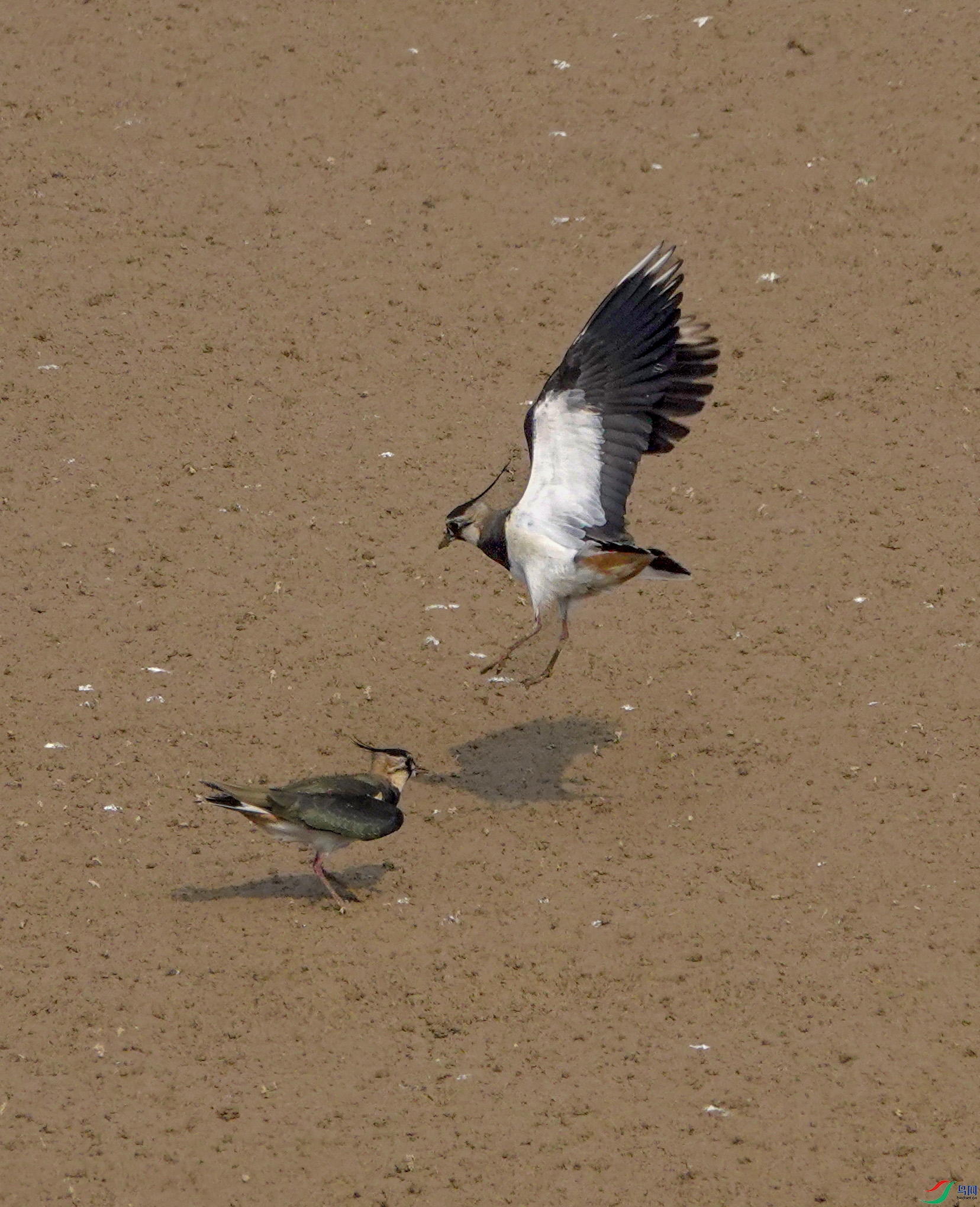 DSC01429.JPG