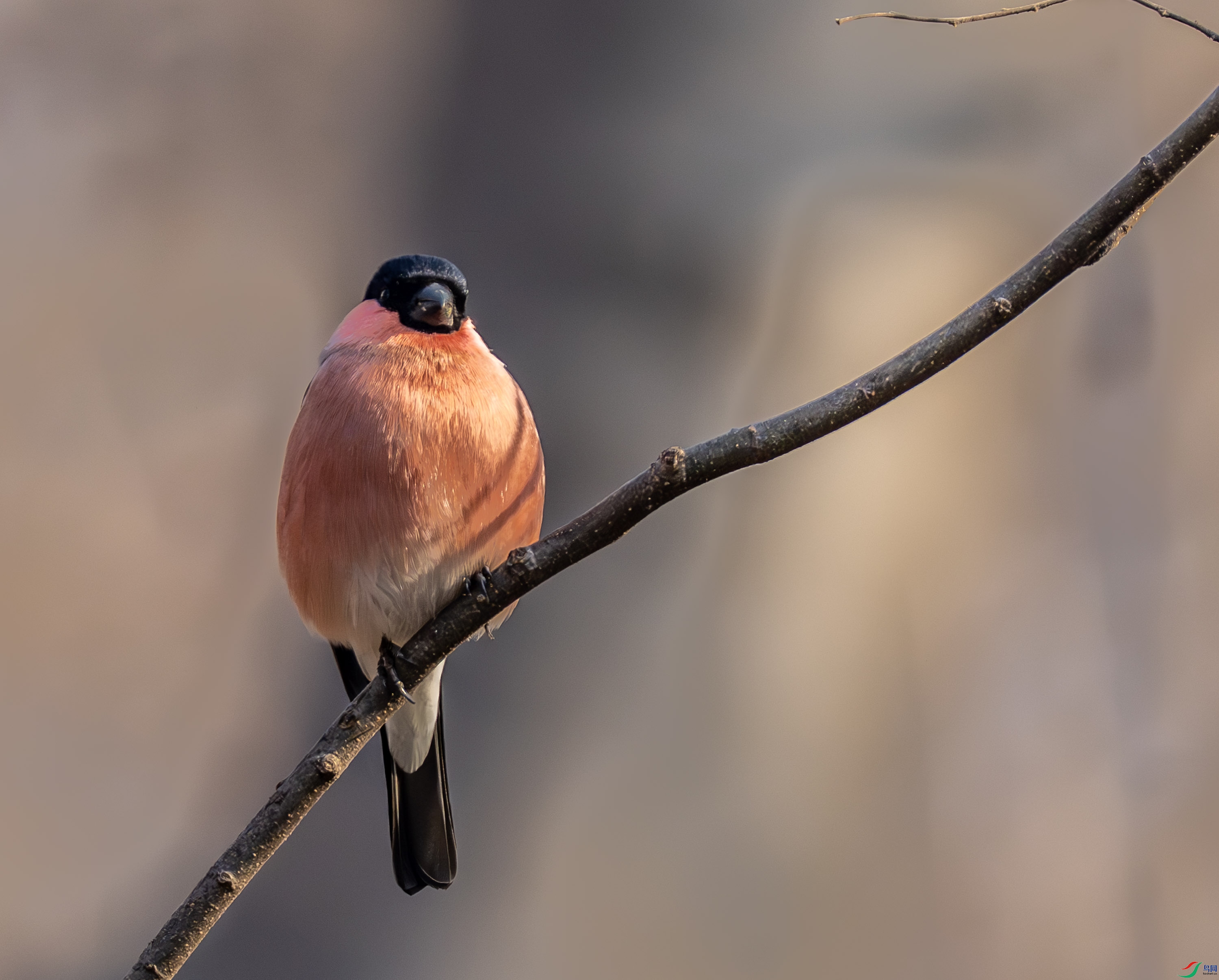 �츹��ȸ-01-7.jpg