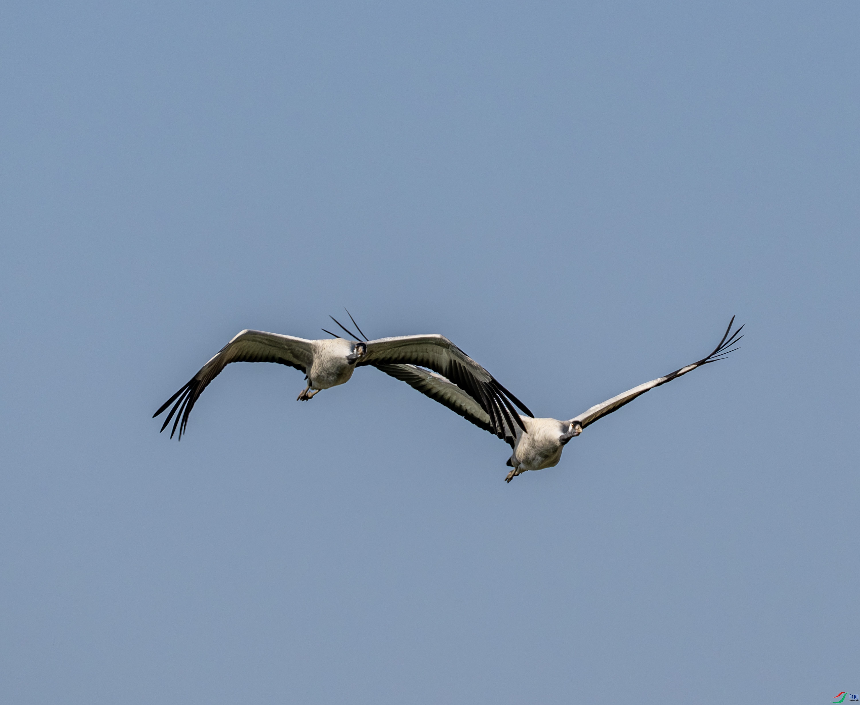 �Һ�-01-7-2.jpg