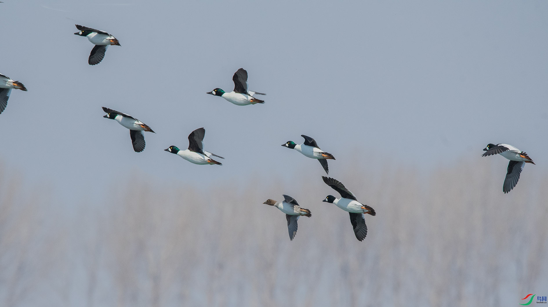 DSC_2663_��ͼ�� ����.jpg