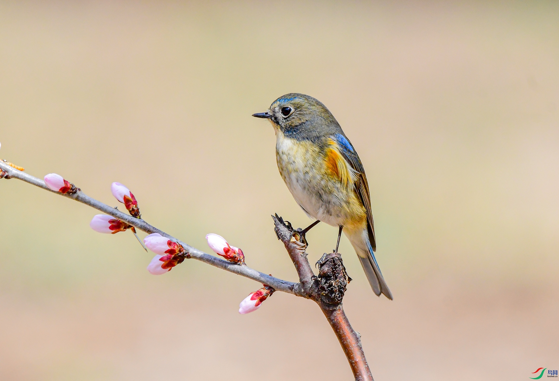DSC_9660_��ͼ�� ����.jpg