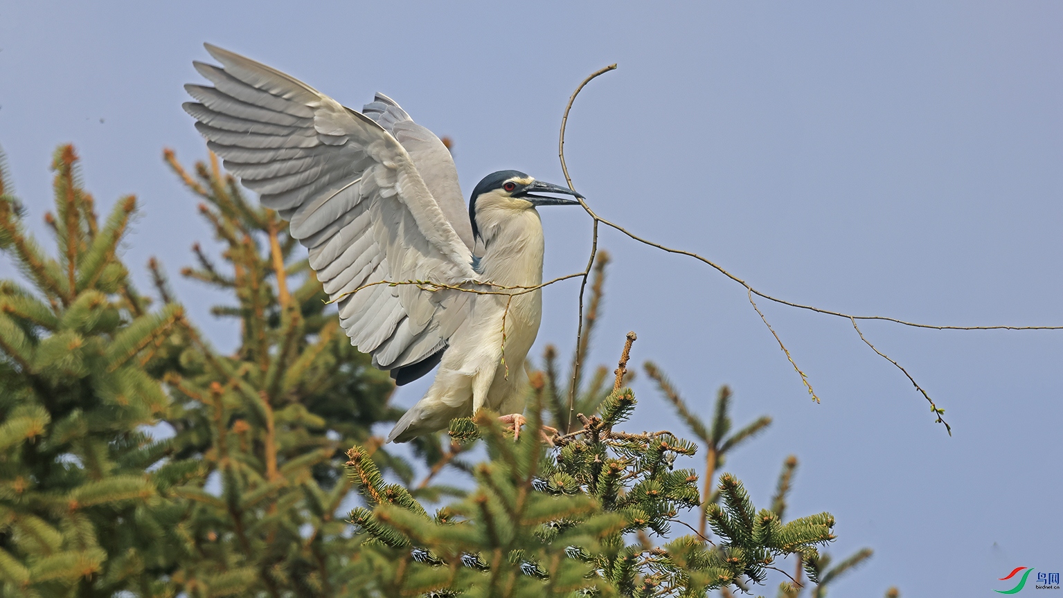 806faec9437b45c92610958c9b2953ae ����.jpg