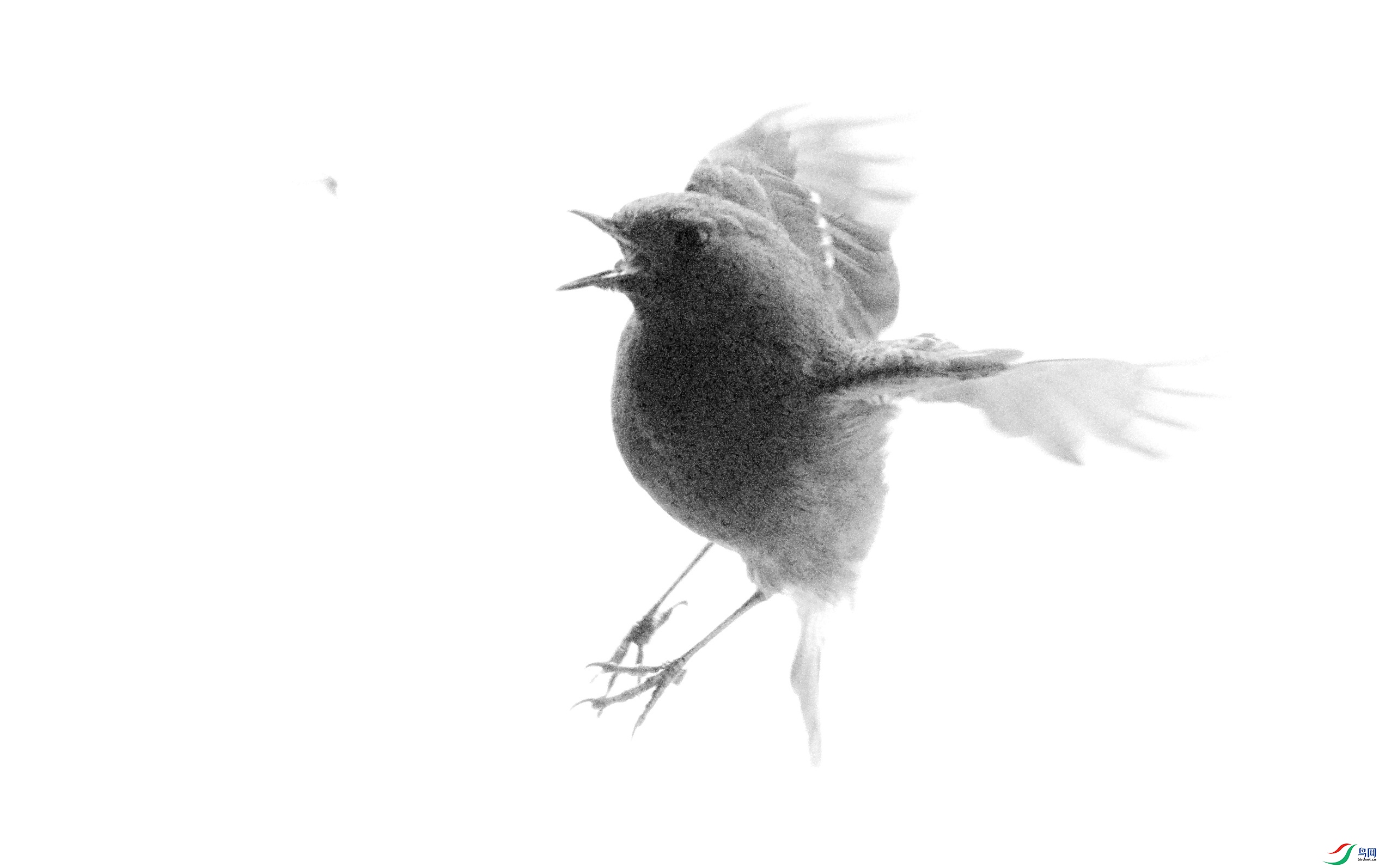 P3250183_����_����.jpg