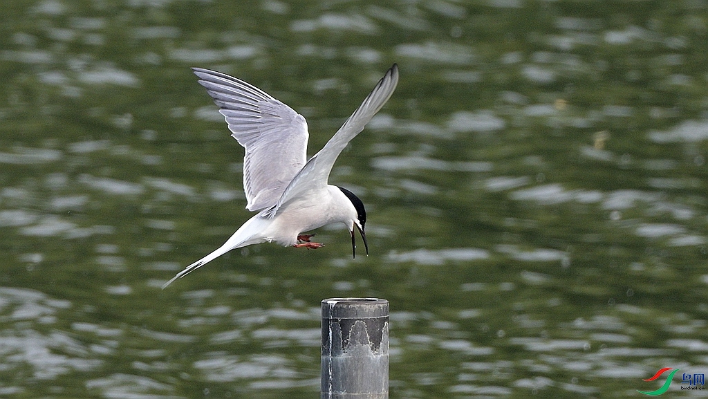 DSC_1751.JPG