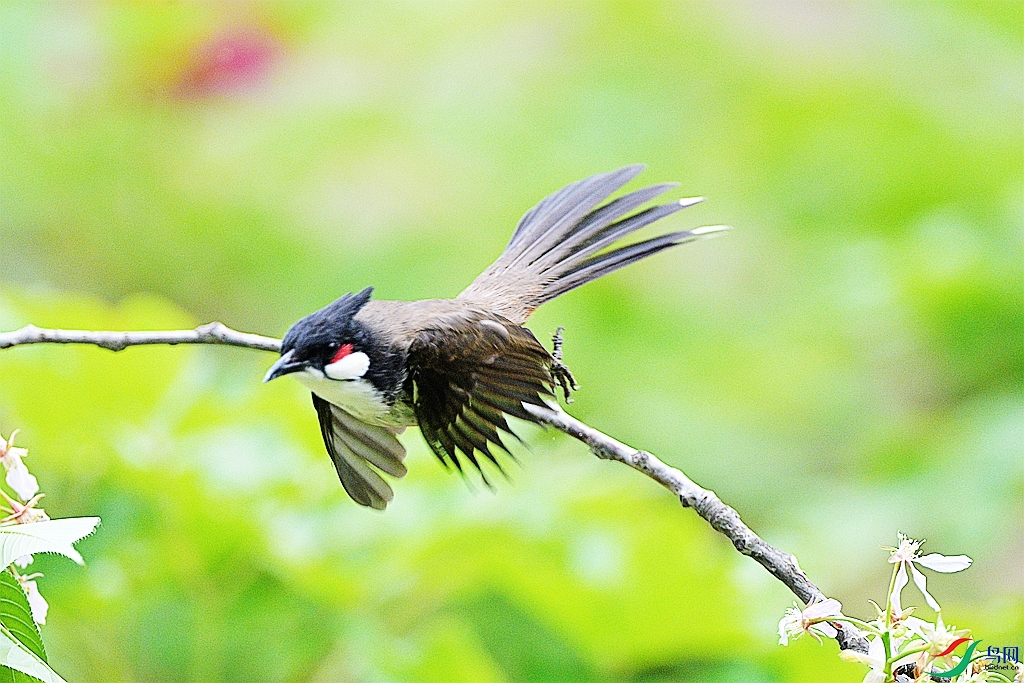 DSC_9941.JPG