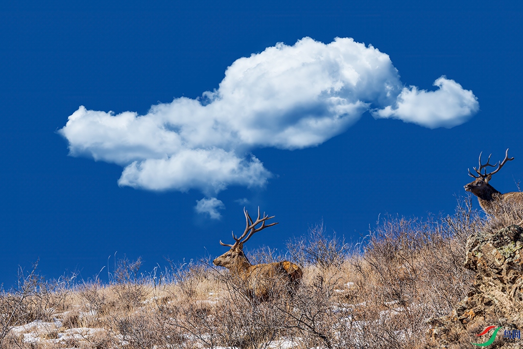 nmgksktR3251231 (2277).jpg