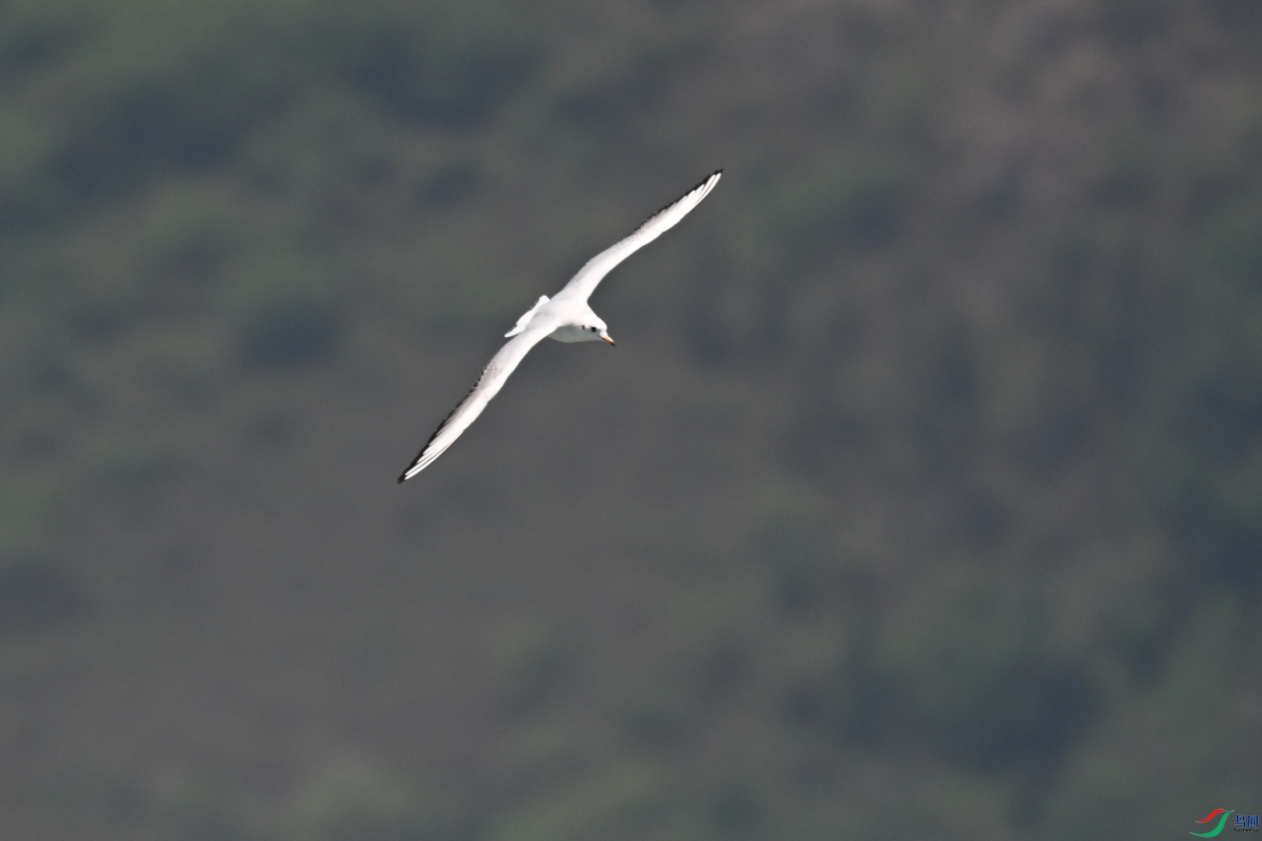 DSC_3080.JPG