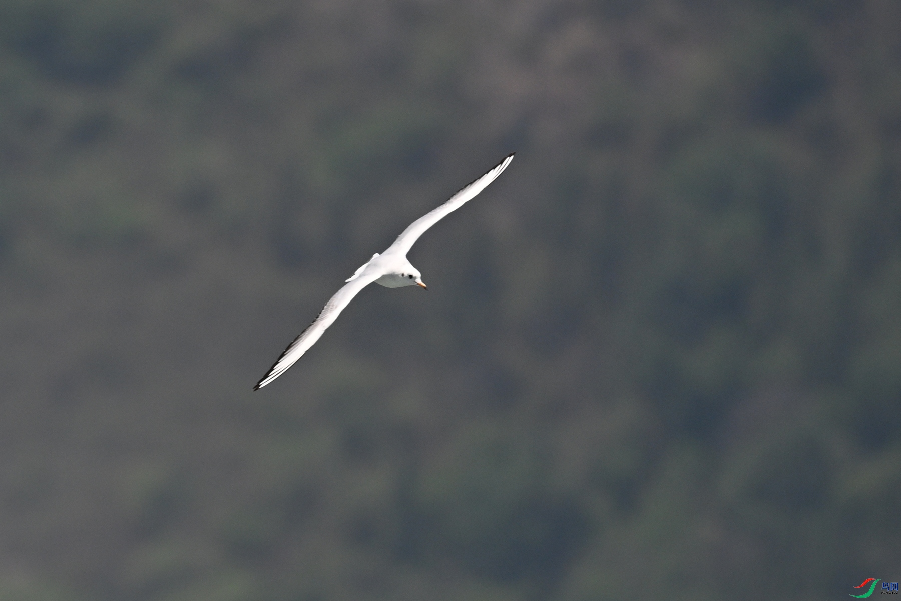 DSC_3081.JPG
