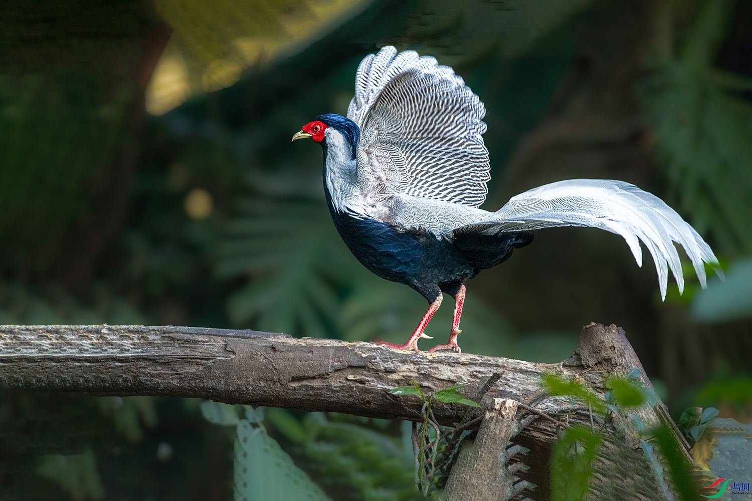 DSC_1593.jpg