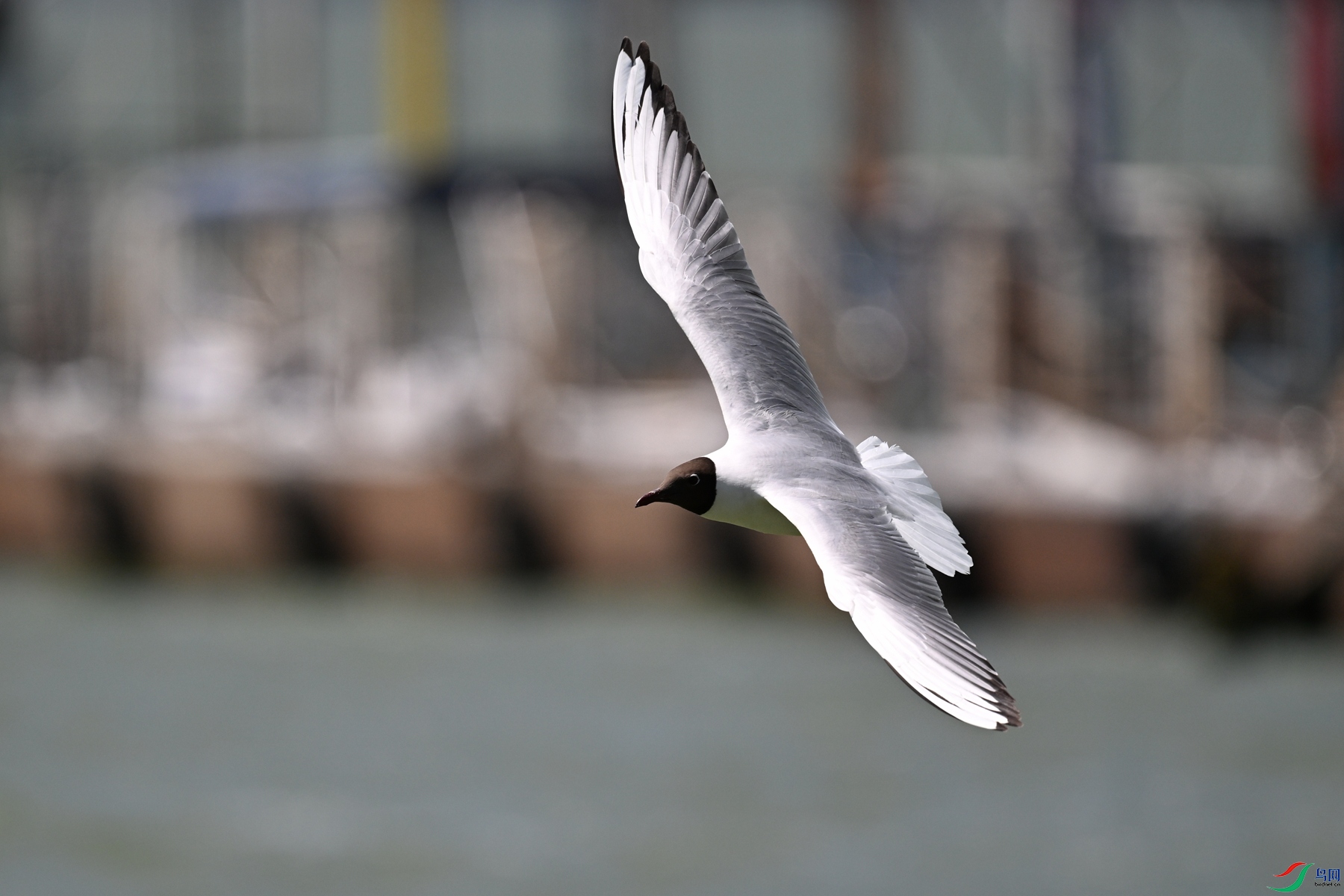 DSC_3089.JPG