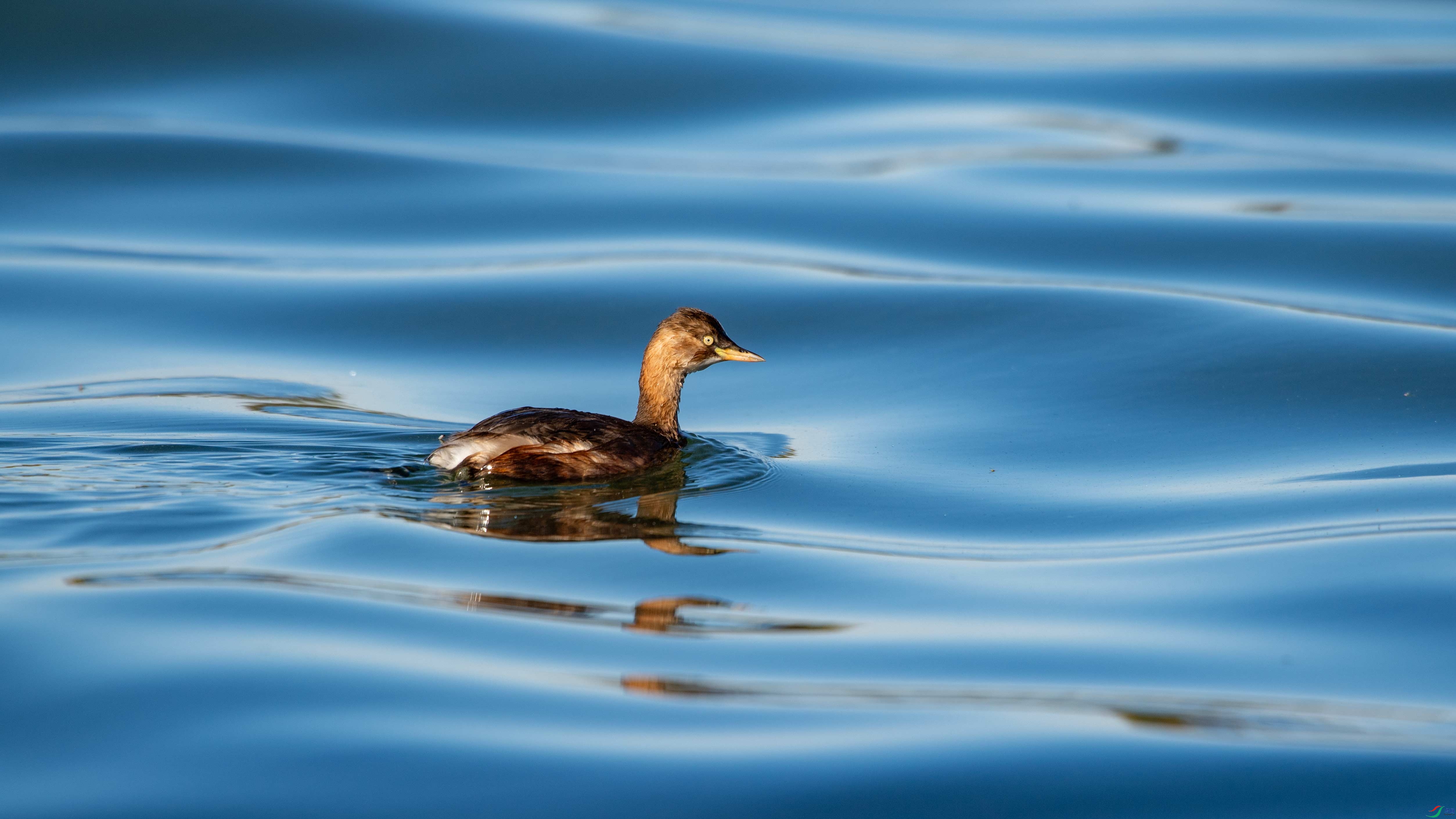 DSC_0119.jpg
