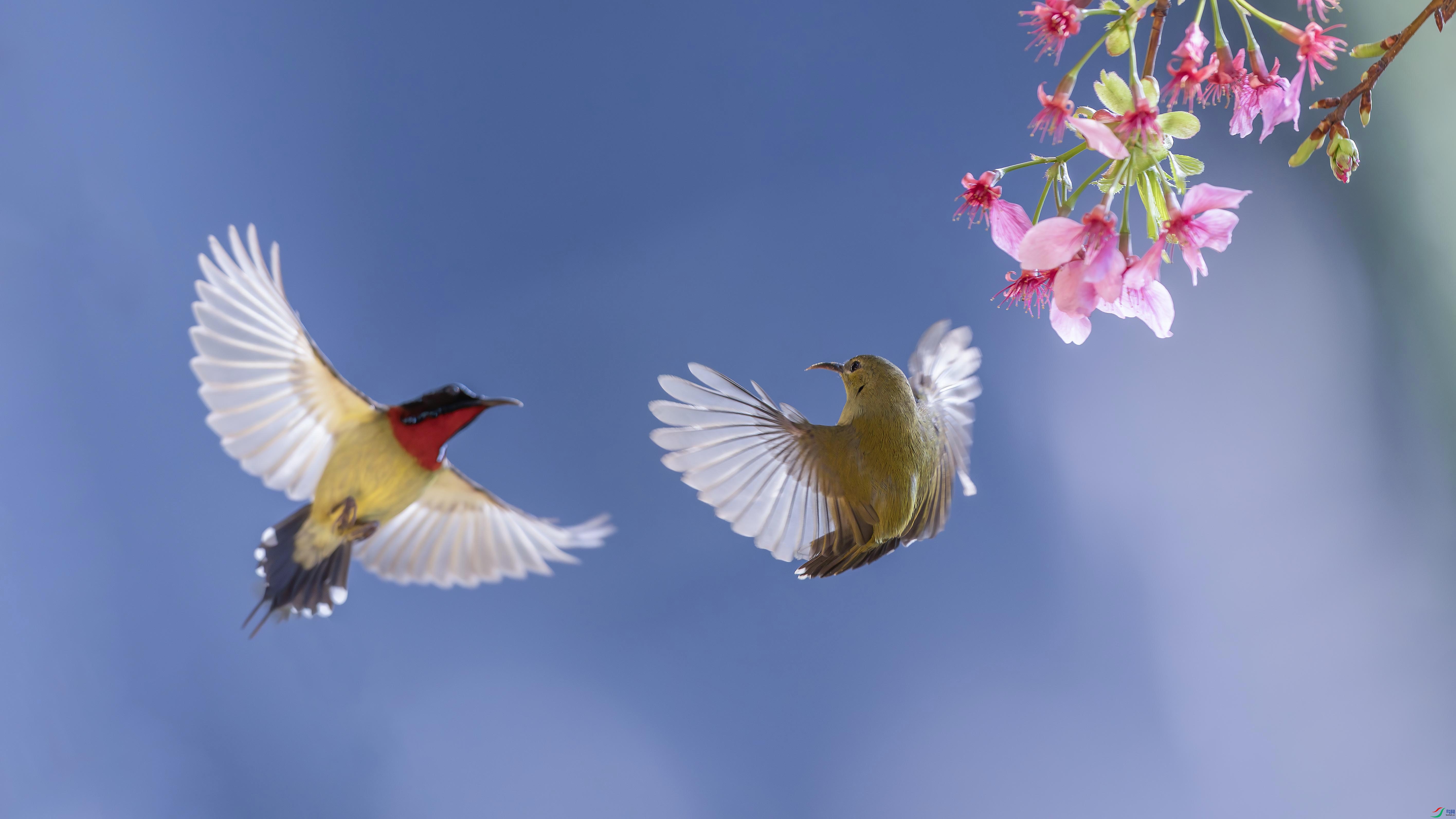 238A7701 ���� 2.jpg