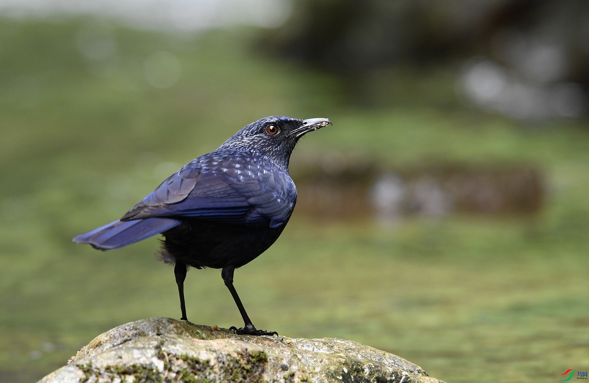 DSC_3241.jpg