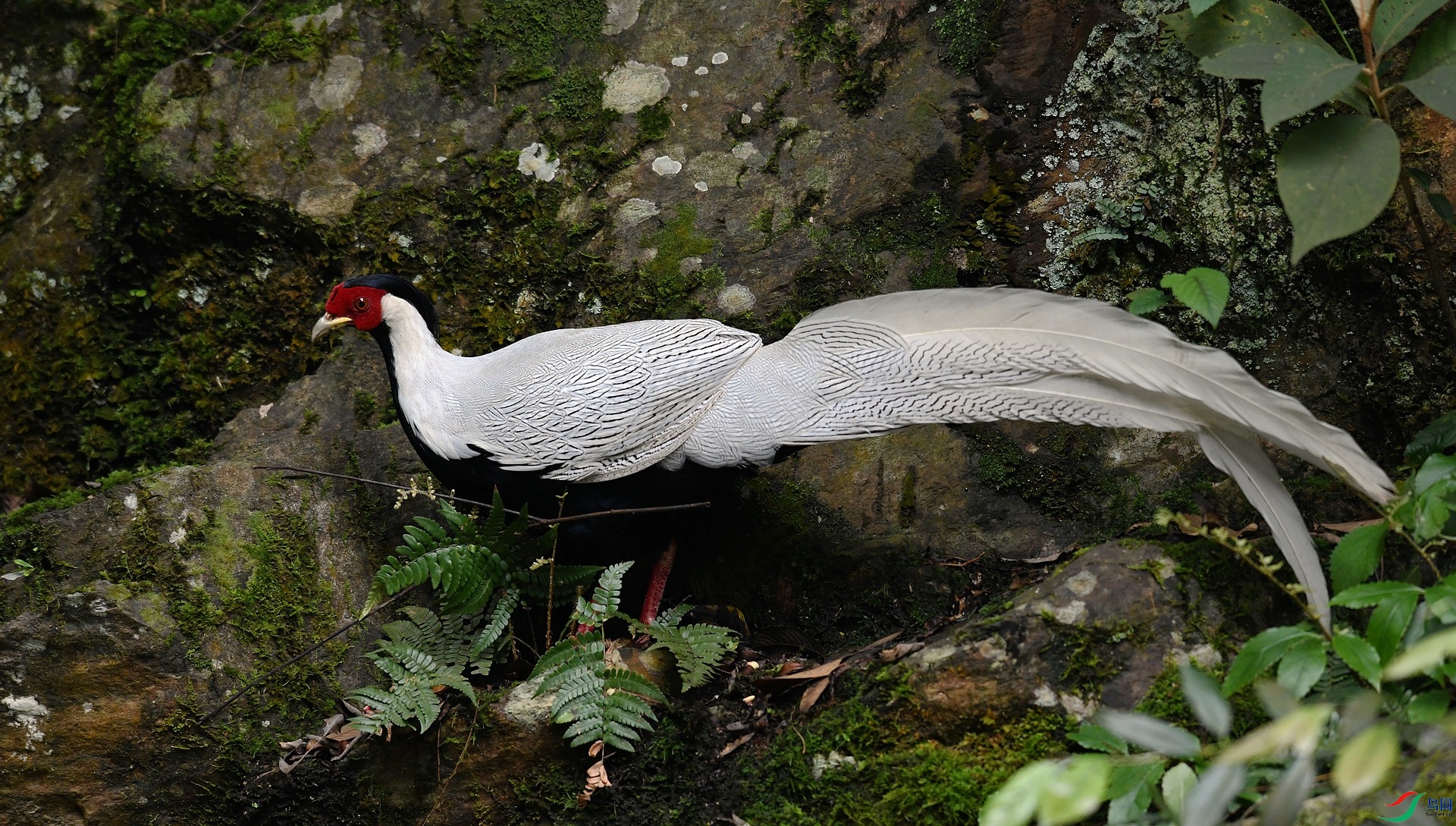 DSC_3110.jpg