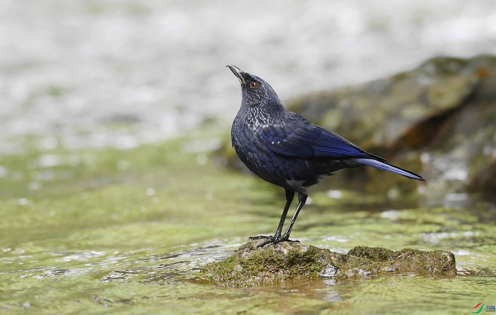 DSC_3304.jpg