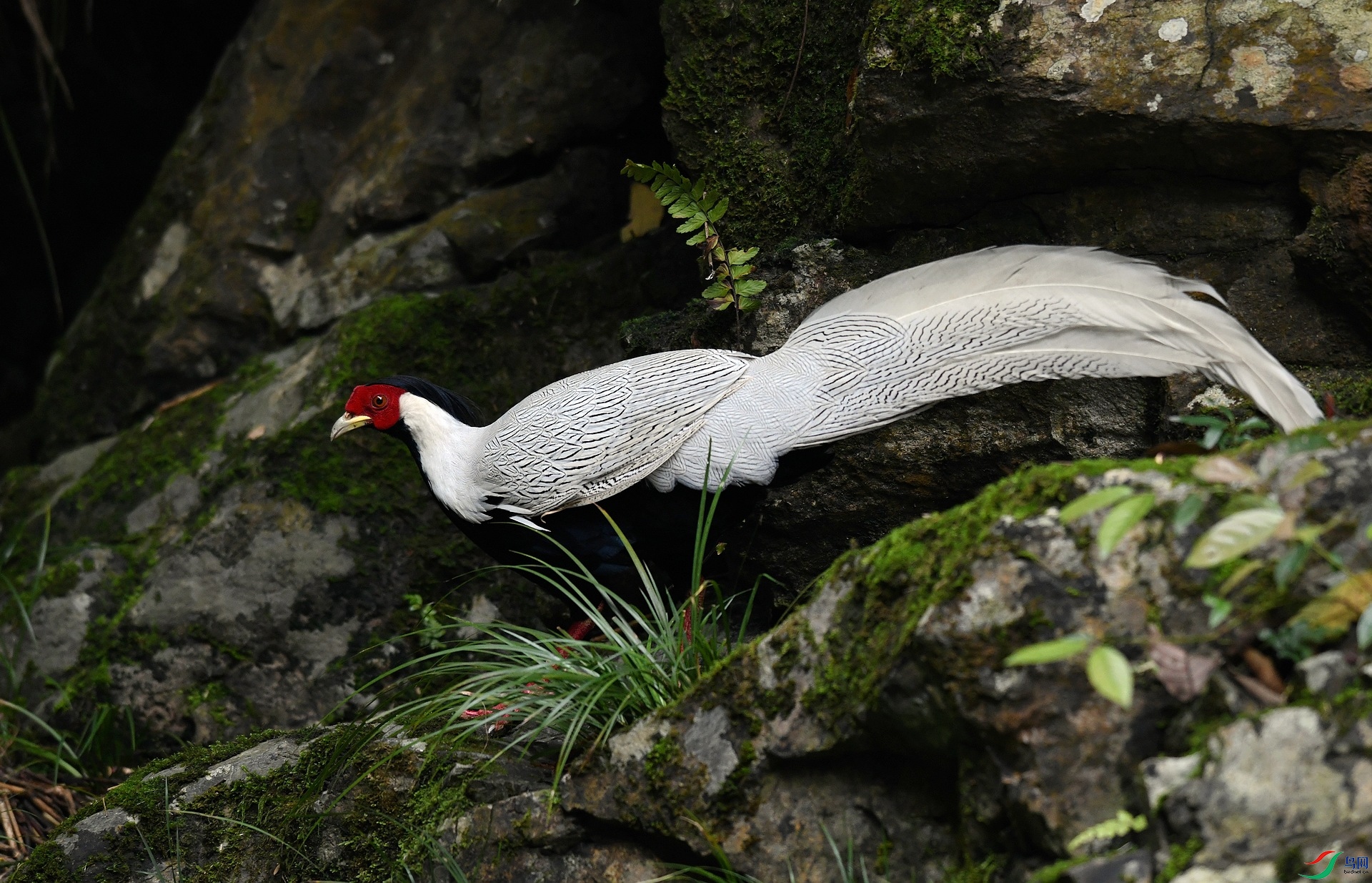 DSC_3478.jpg