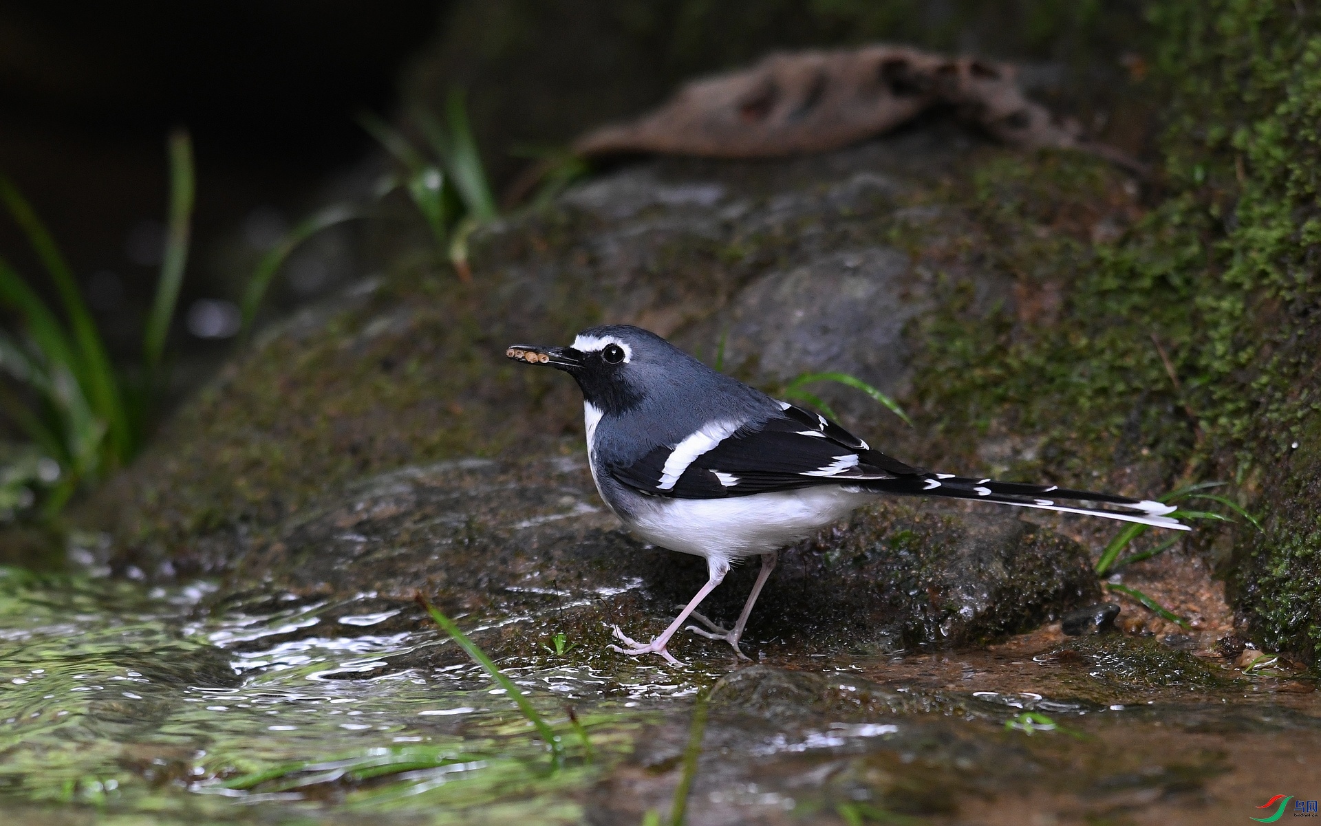 DSC_3897.jpg
