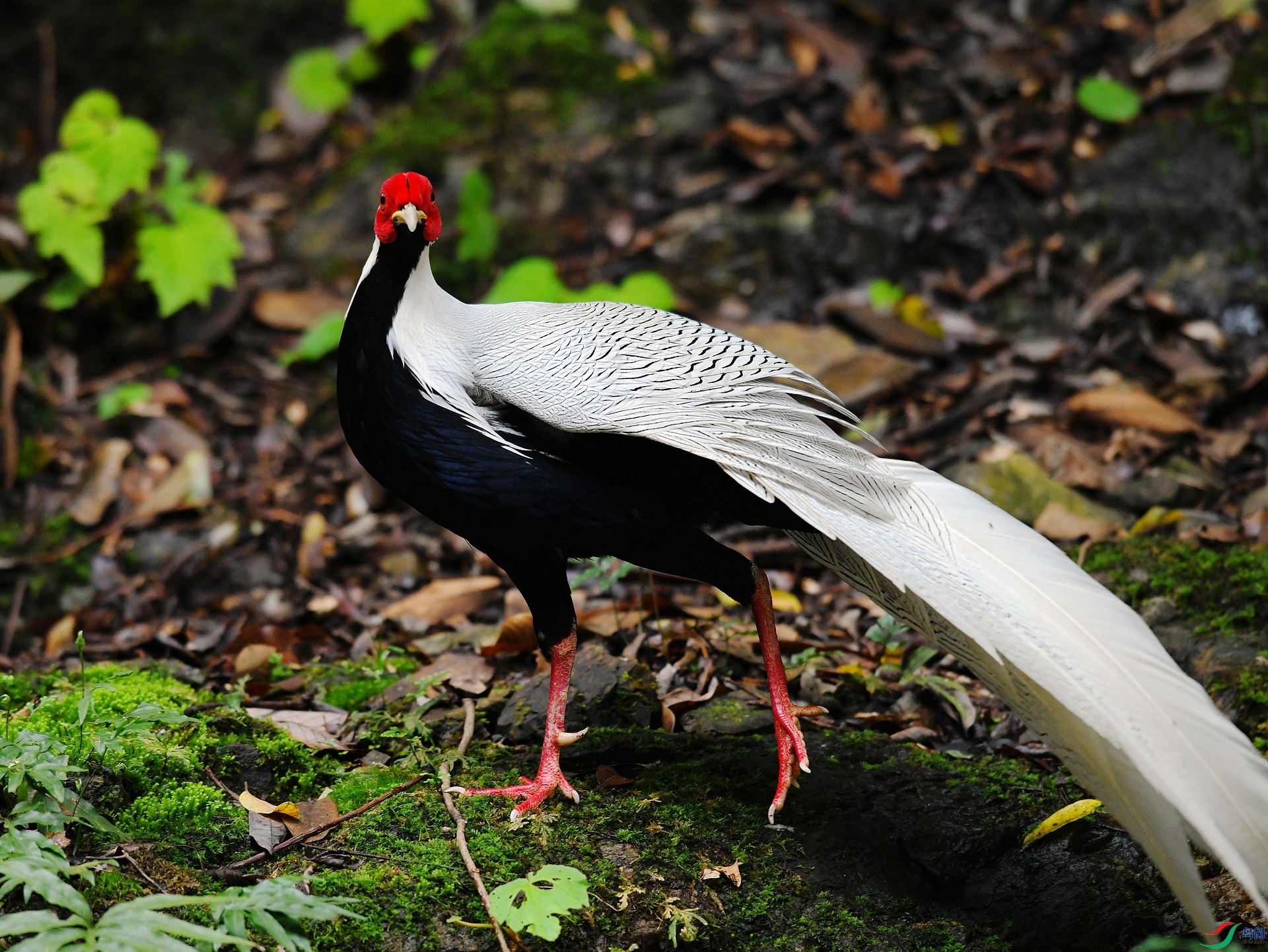 DSC_4162.jpg