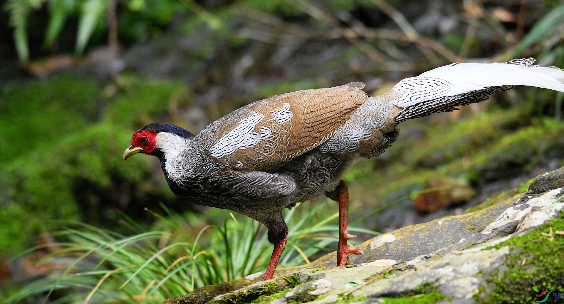 DSC_4061.jpg